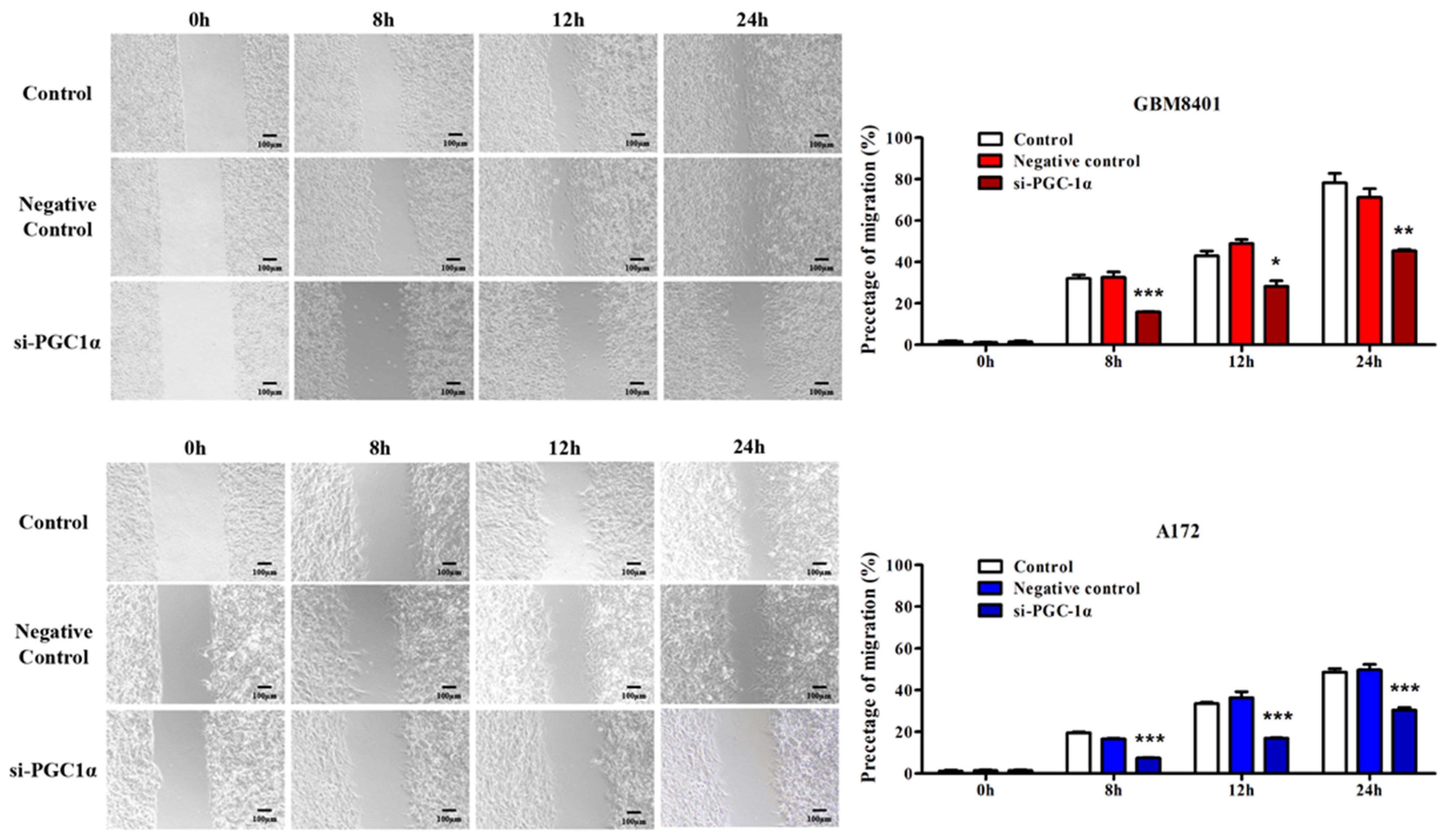 Biomedicines 12 00979 g005