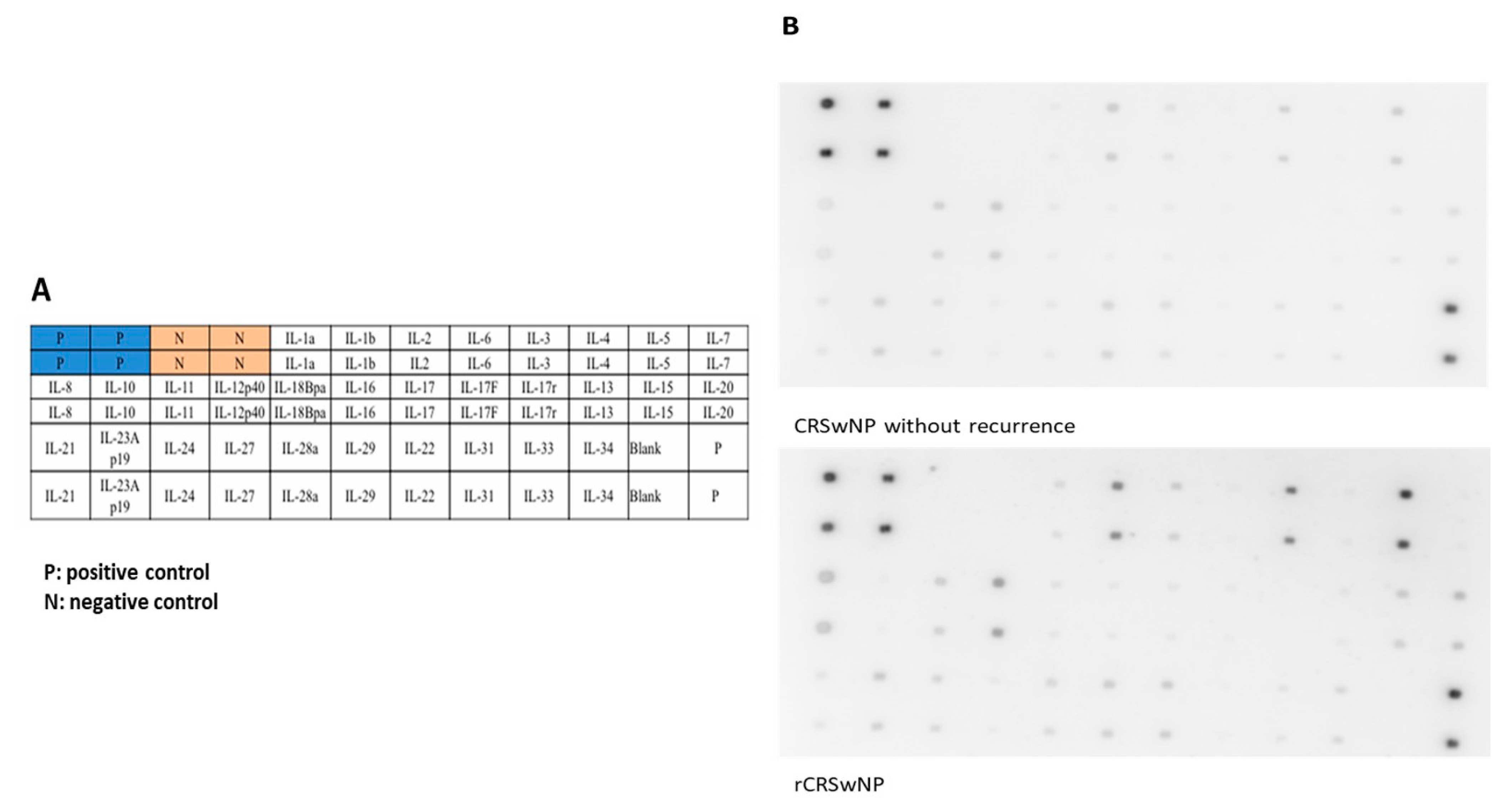 Biomedicines 12 00980 g001 Biomedicines 12 00980 g001