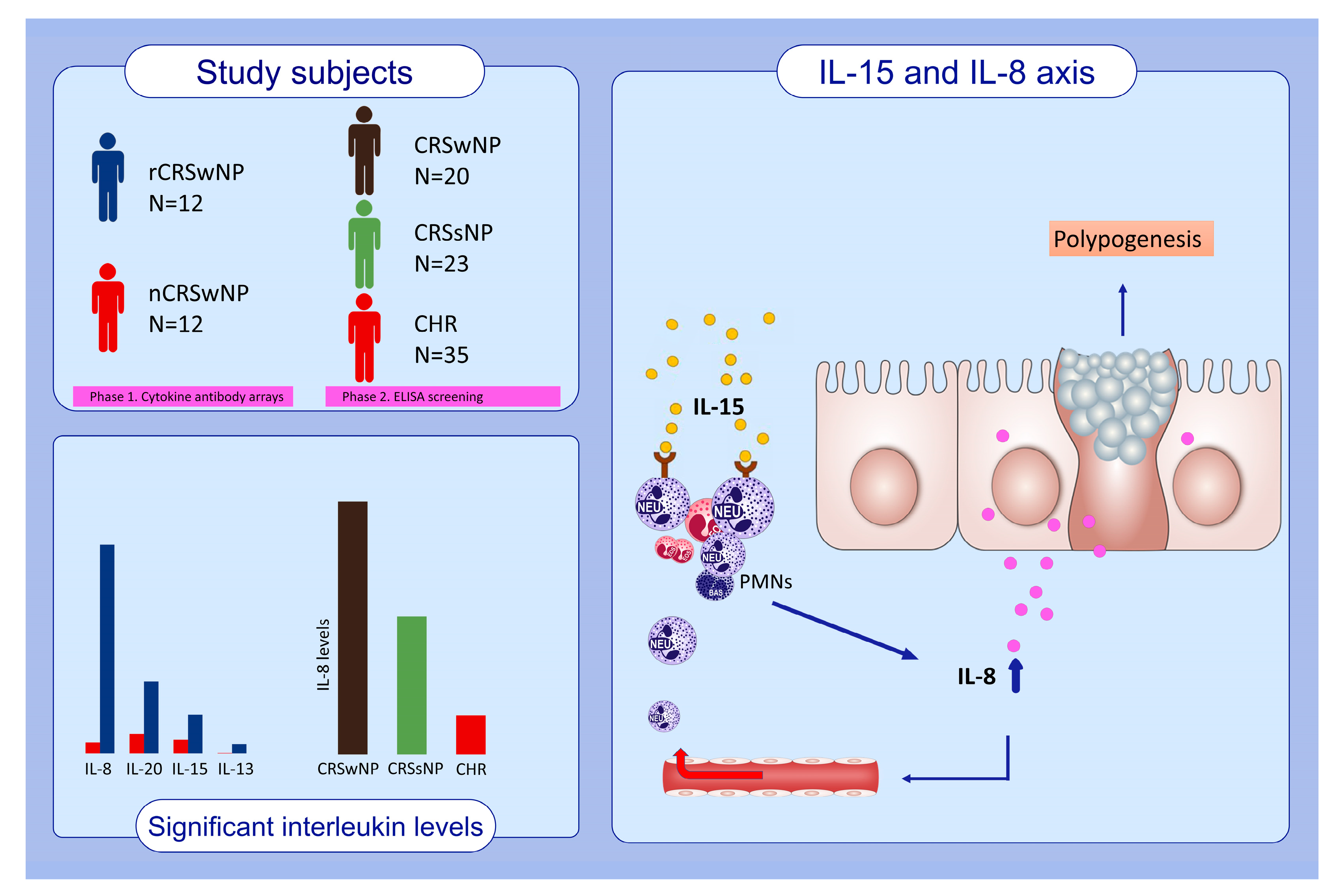 Biomedicines 12 00980 g006 Biomedicines 12 00980 g006