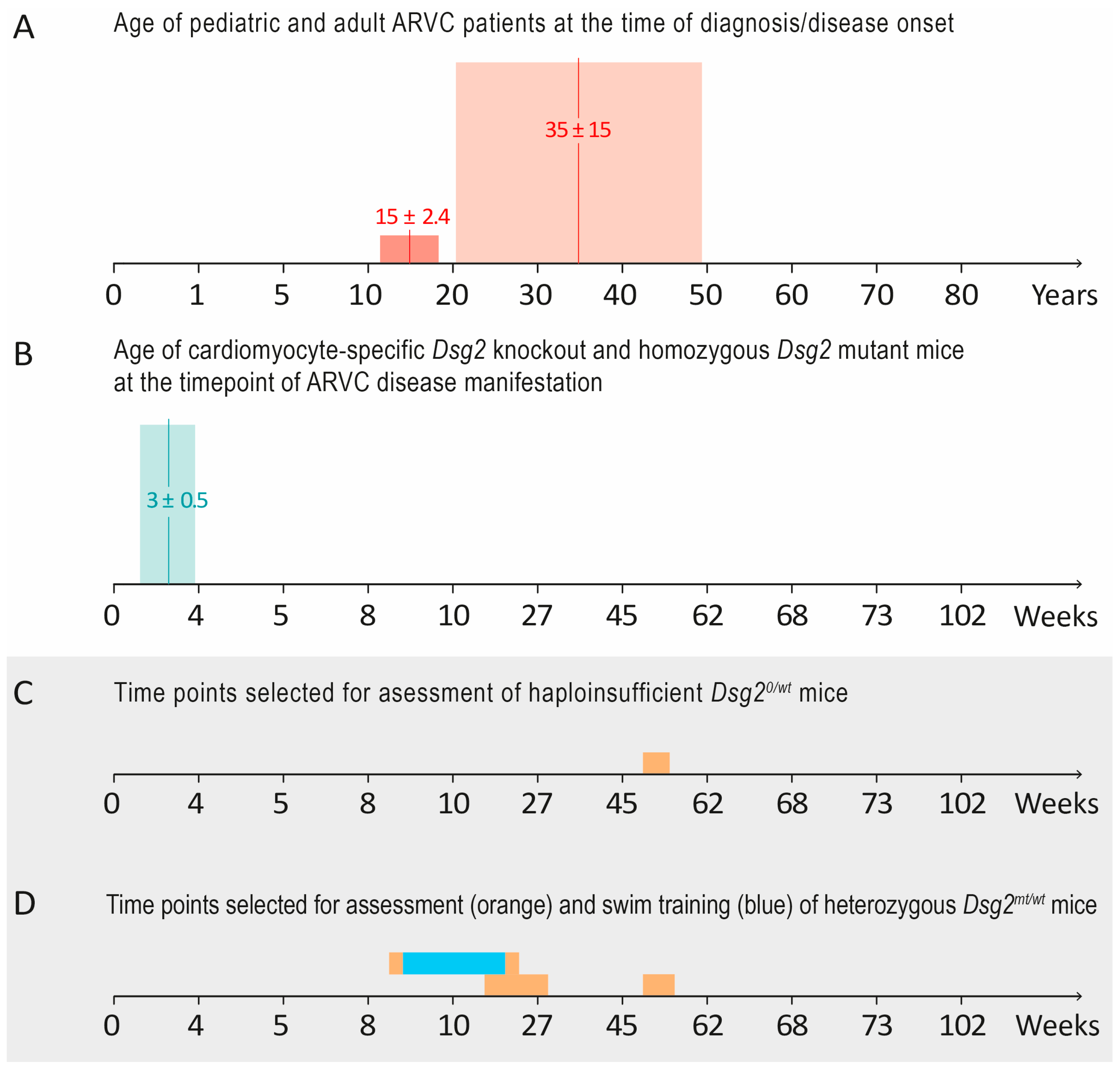 Biomedicines 12 00985 g001 Biomedicines 12 00985 g001