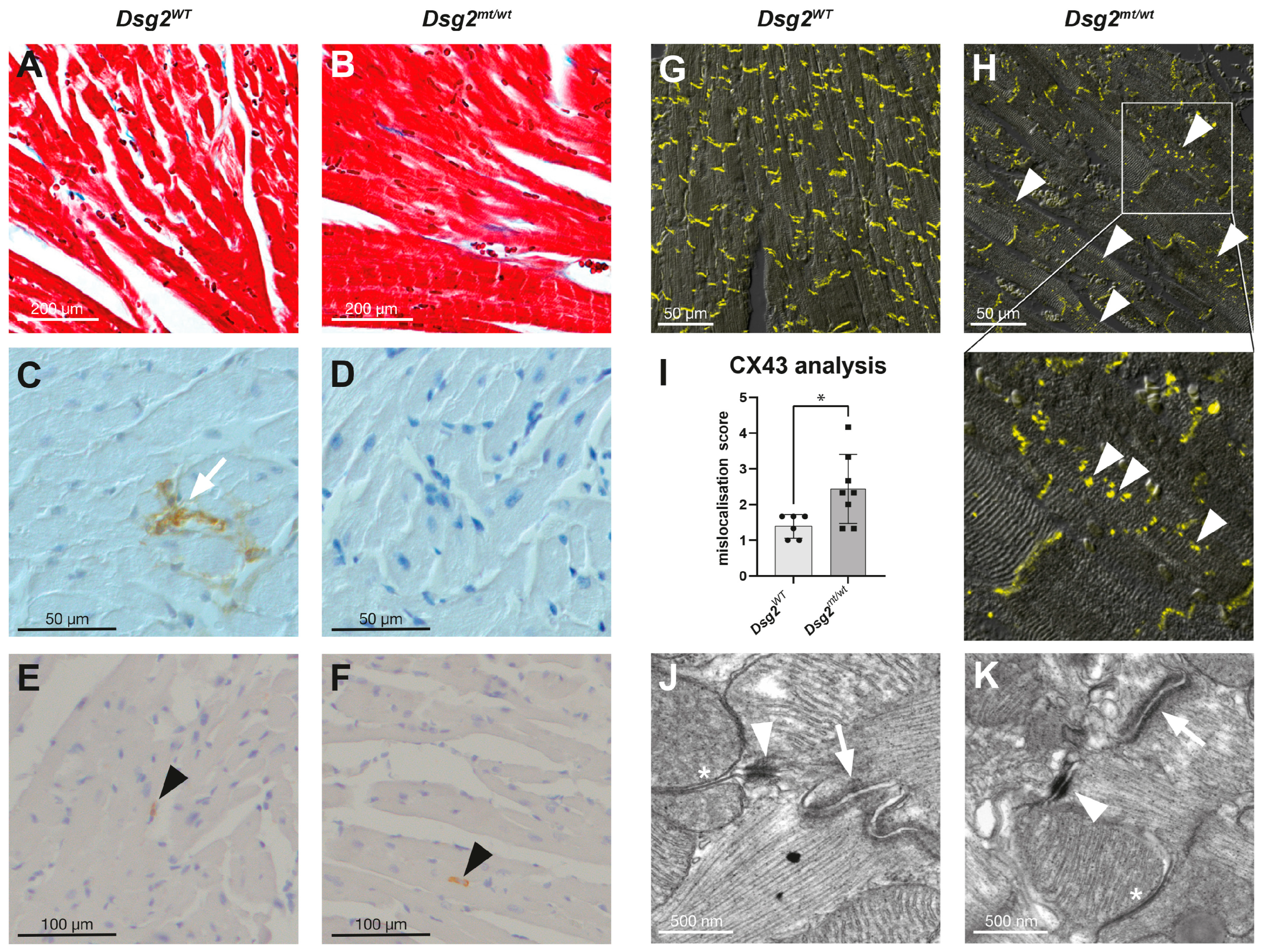 Biomedicines 12 00985 g003 Biomedicines 12 00985 g003