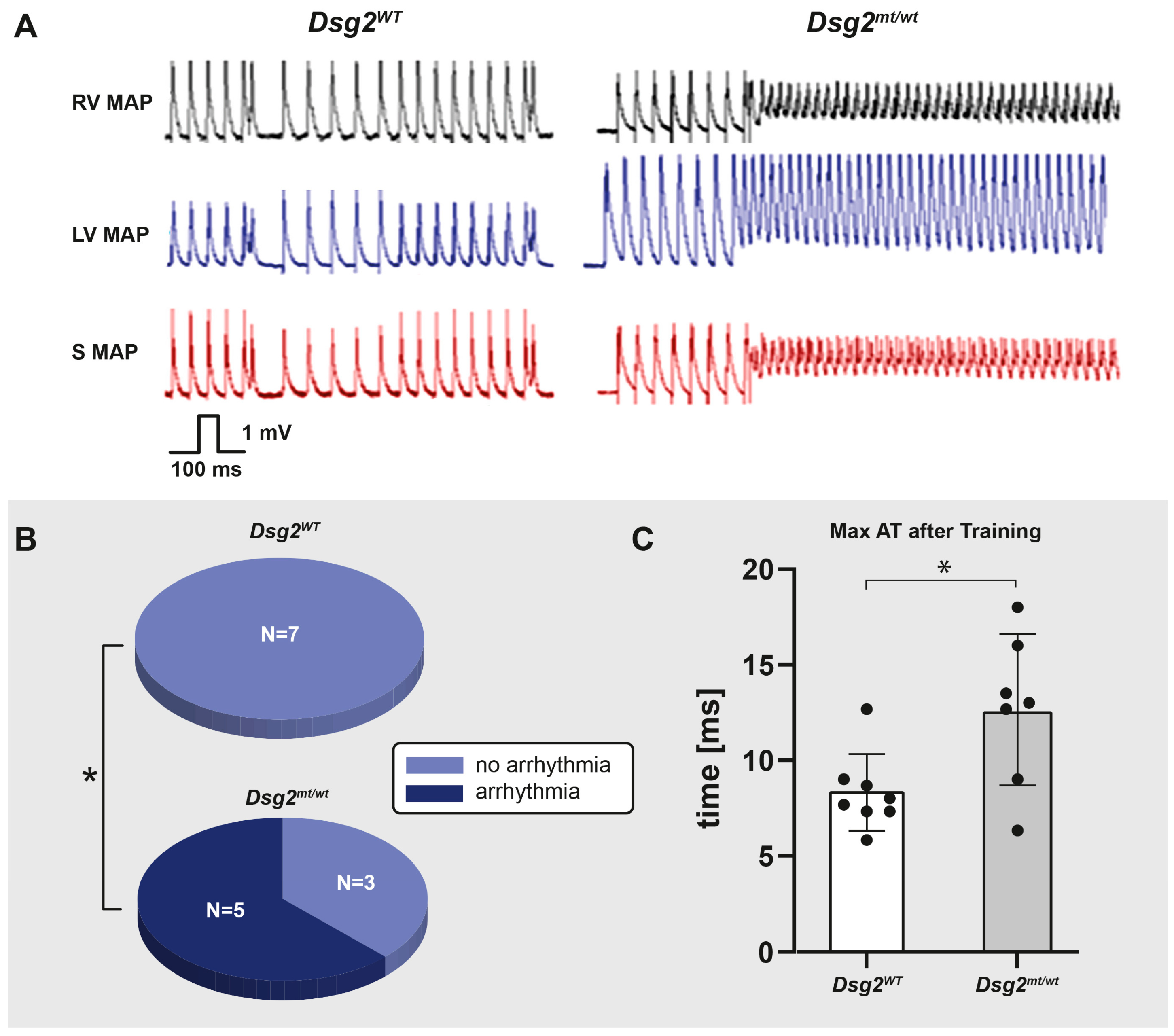 Biomedicines 12 00985 g004 Biomedicines 12 00985 g004