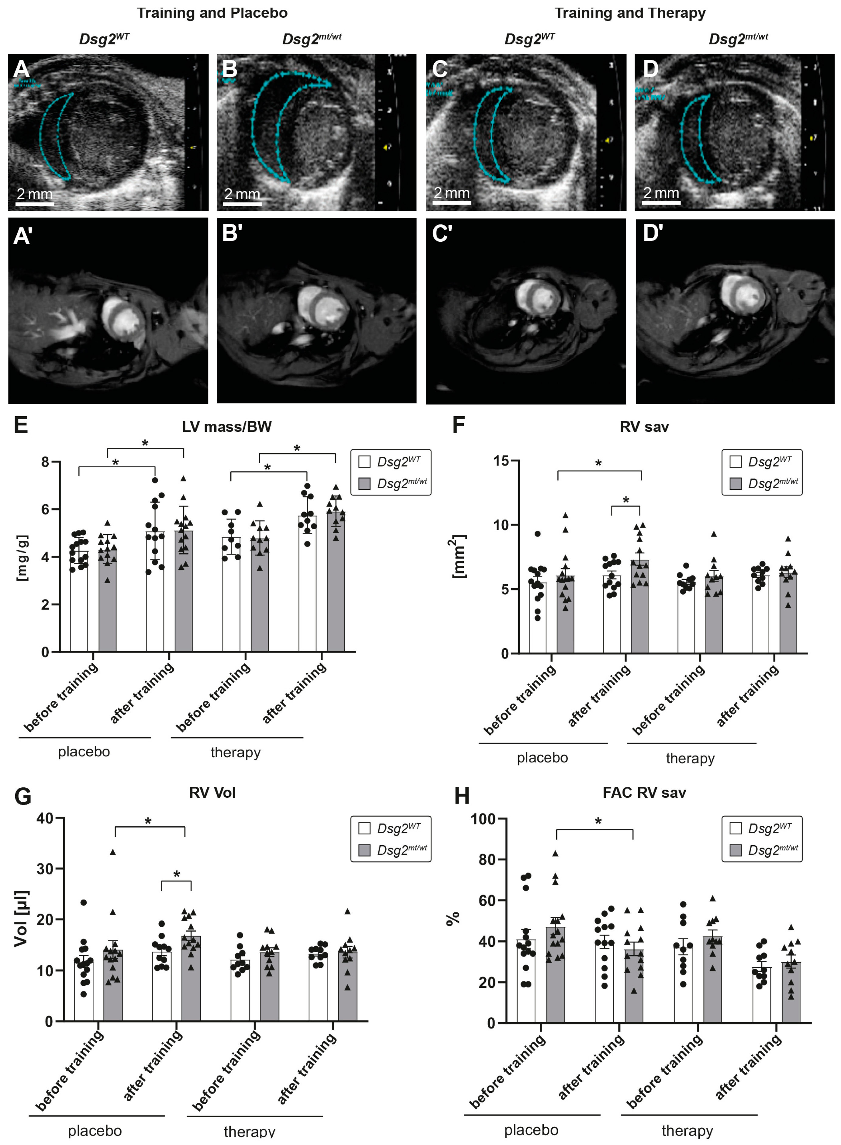 Biomedicines 12 00985 g005 Biomedicines 12 00985 g005