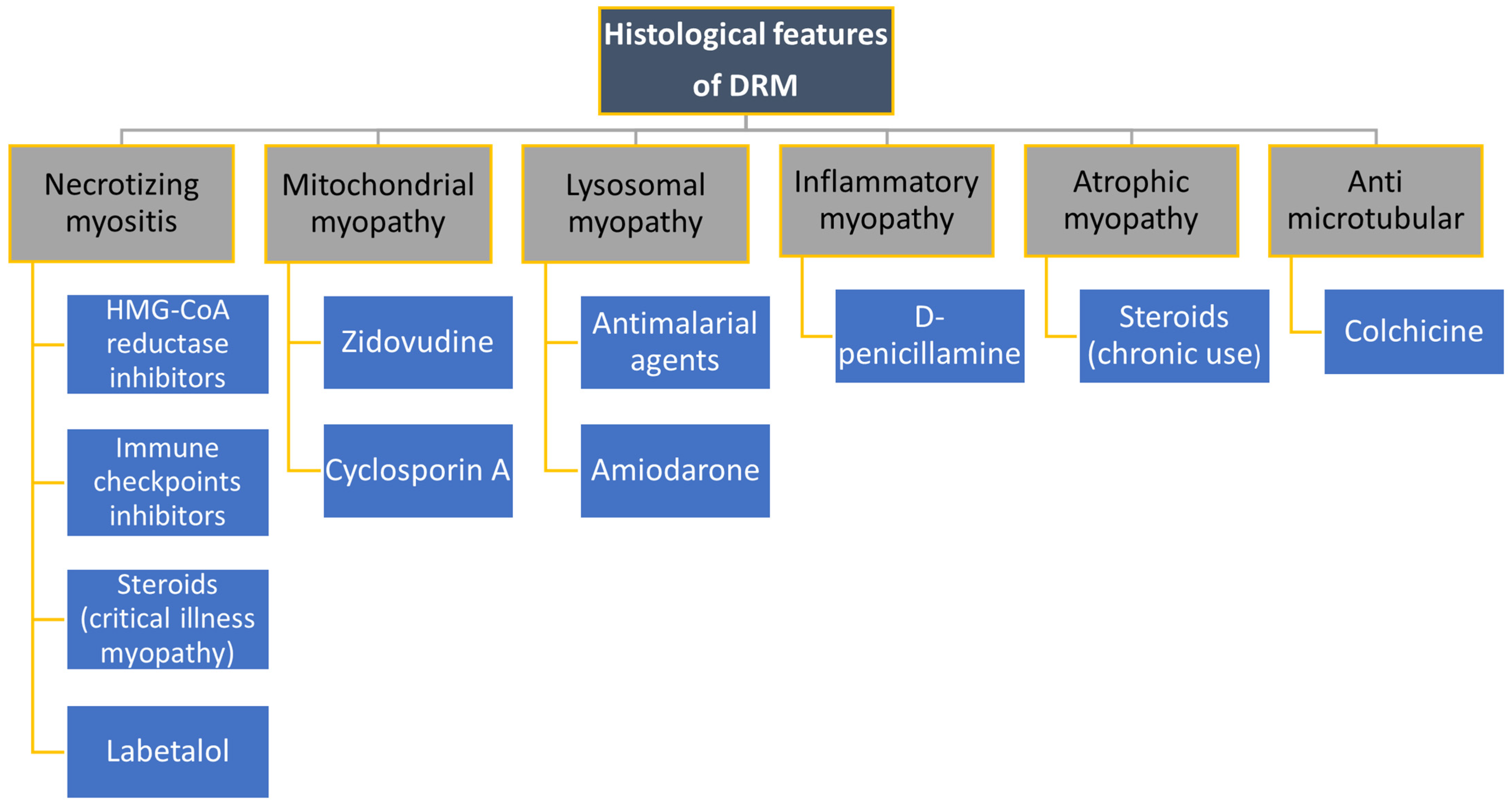 Biomedicines 12 00987 g003