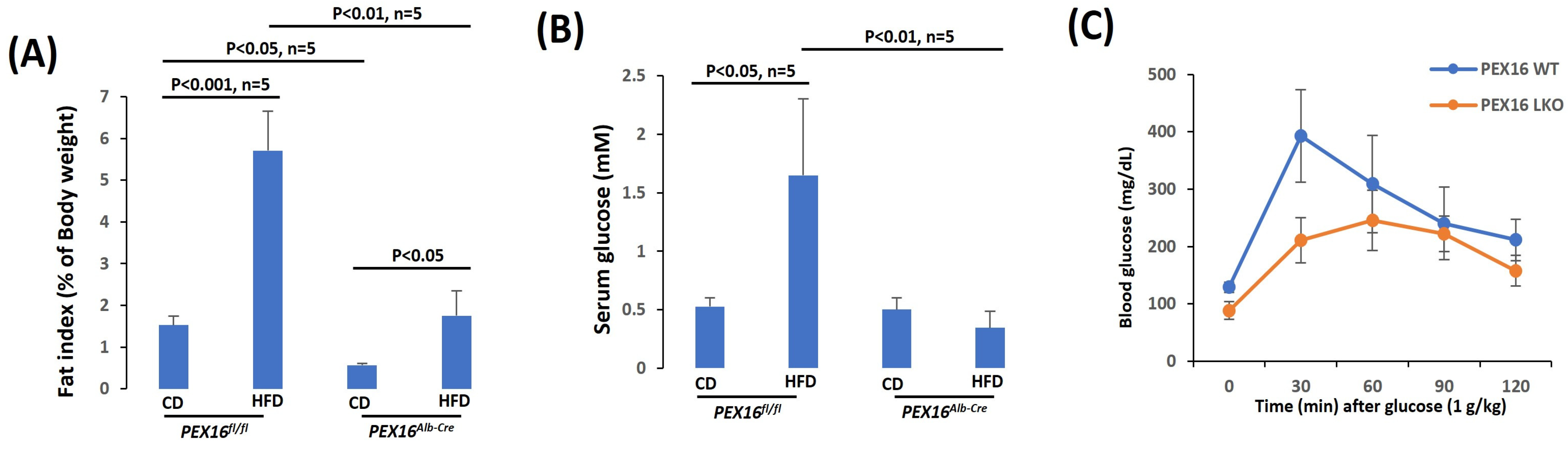 Biomedicines 12 00988 g002