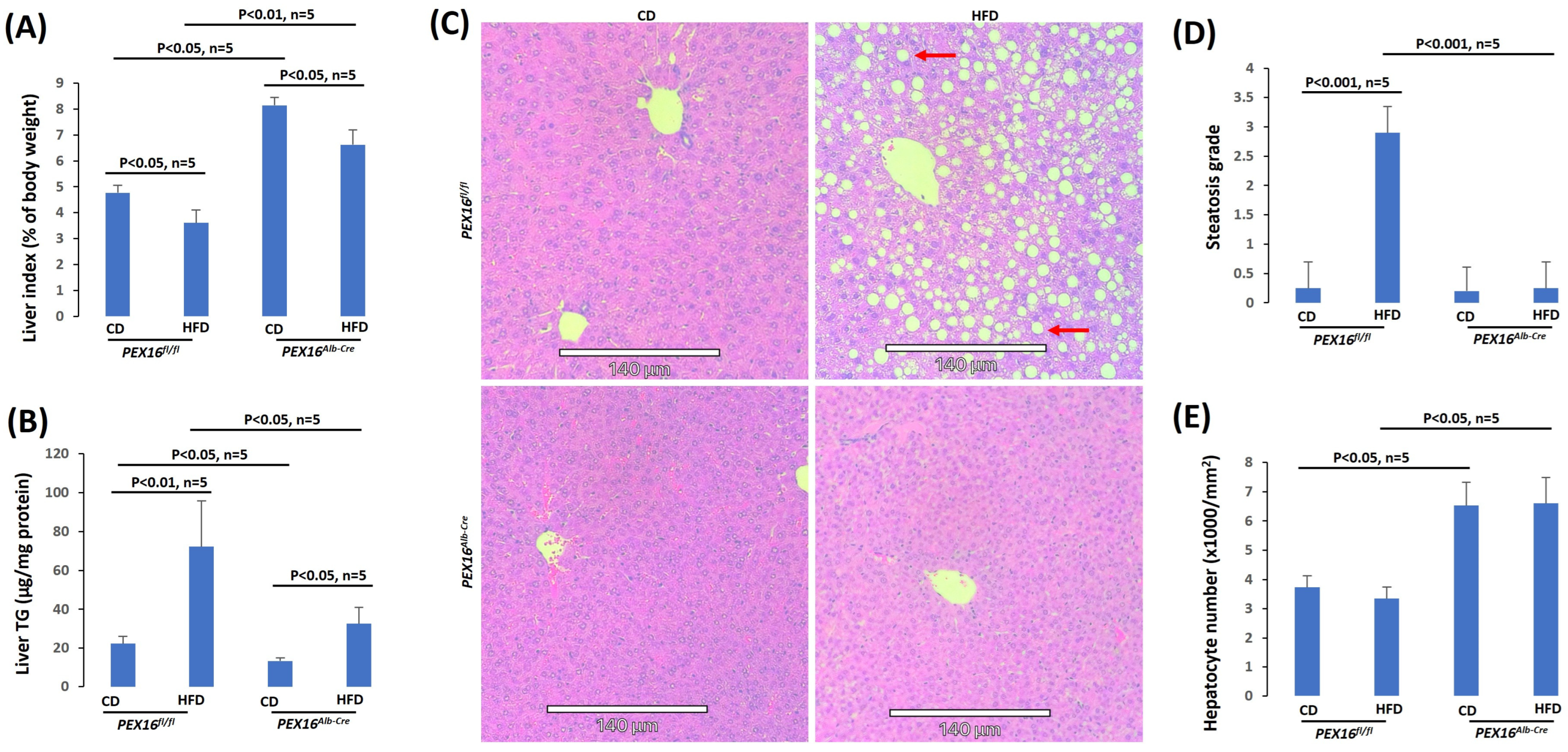 Biomedicines 12 00988 g003