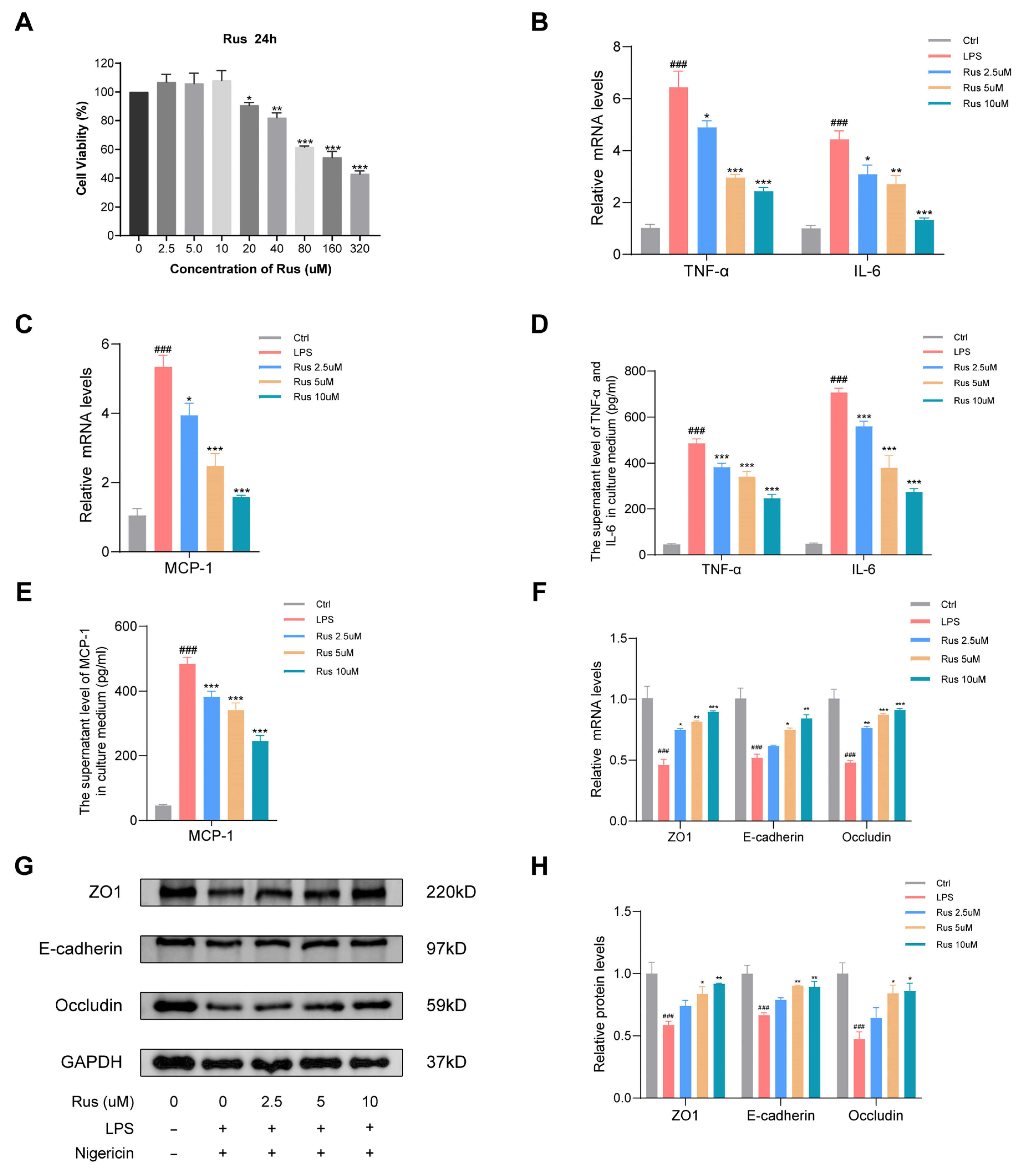 Biomedicines 12 00989 g001