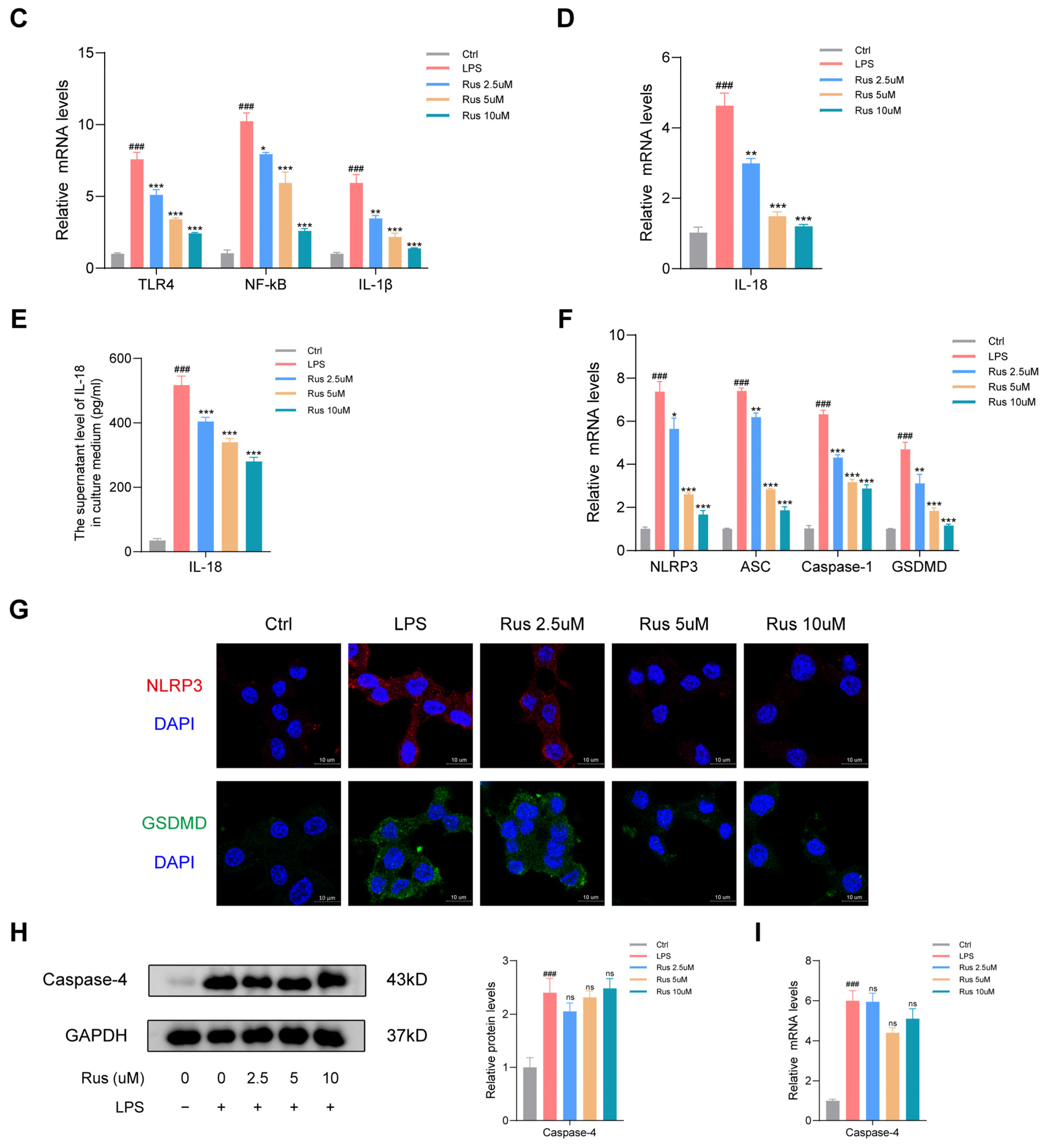 Biomedicines 12 00989 g002b