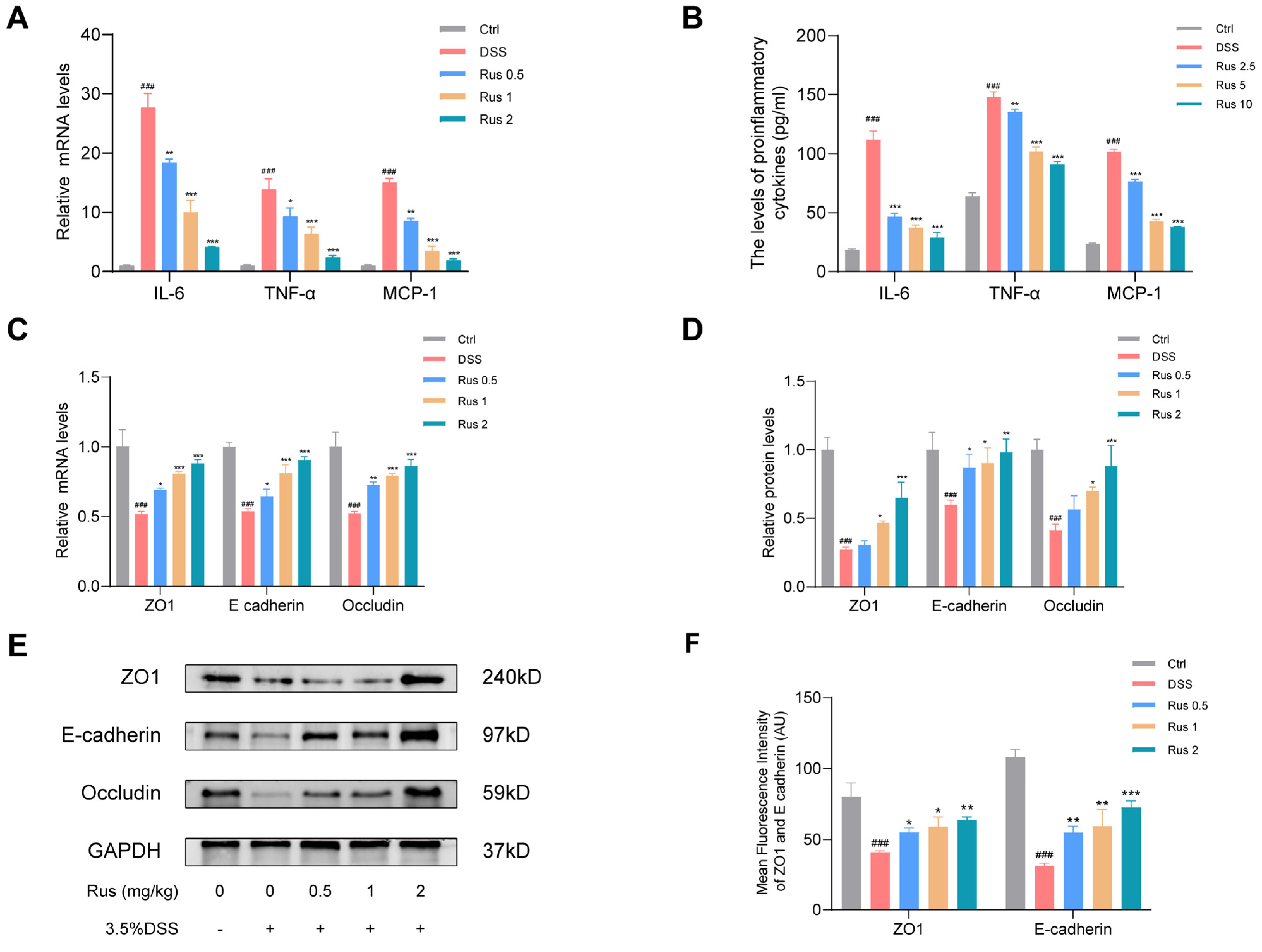 Biomedicines 12 00989 g005a