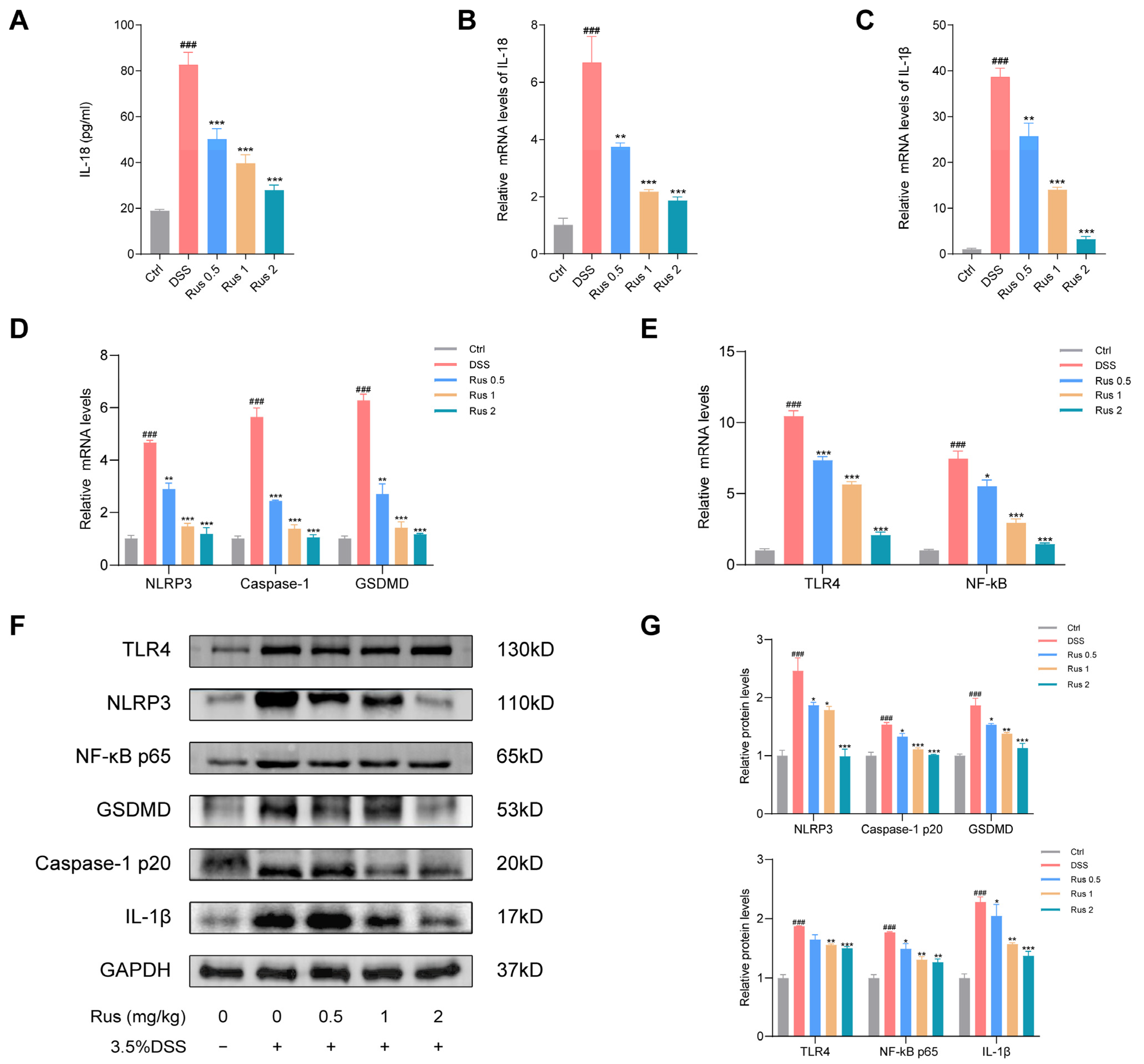 Biomedicines 12 00989 g006