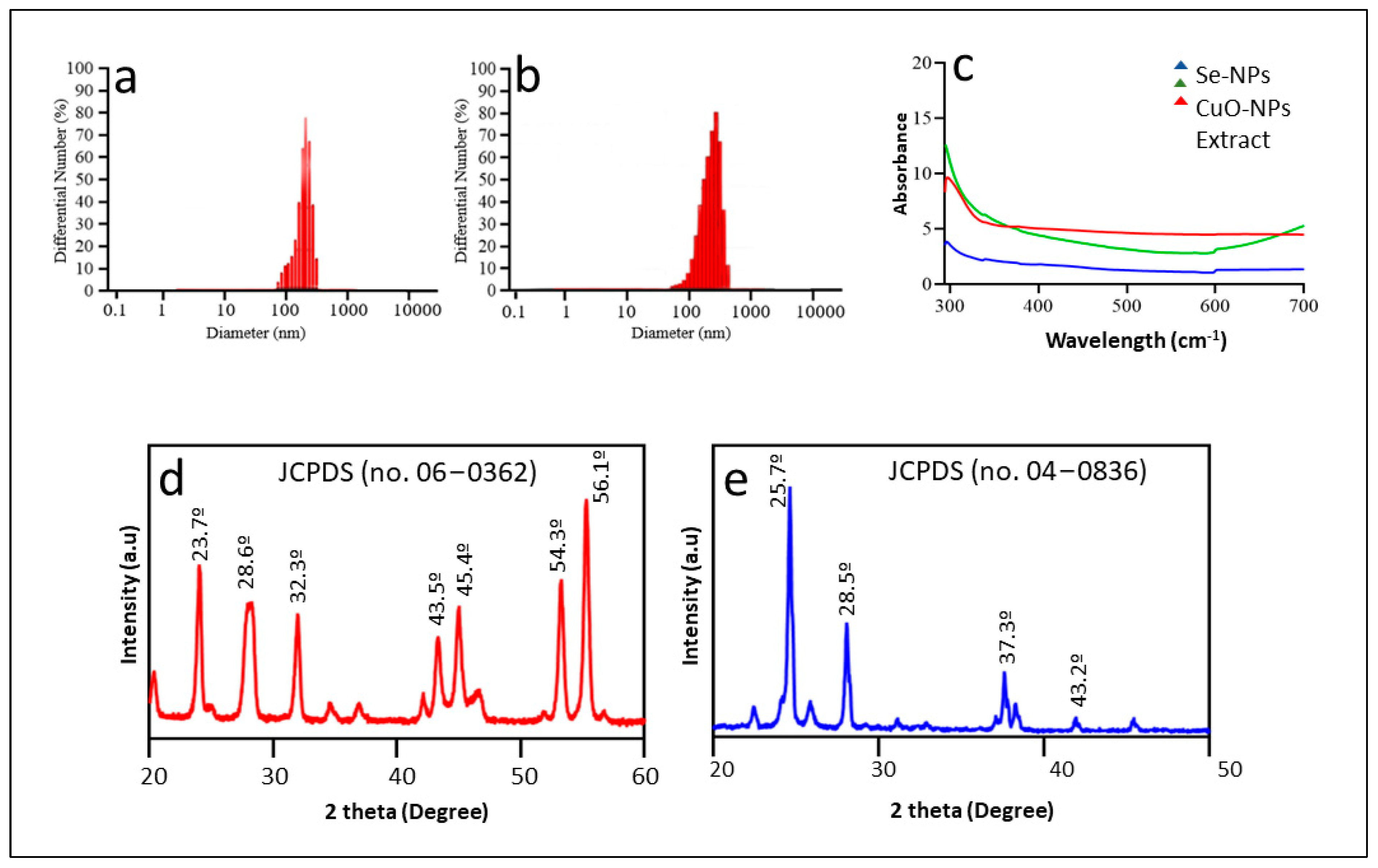 Biomedicines 12 00994 g001