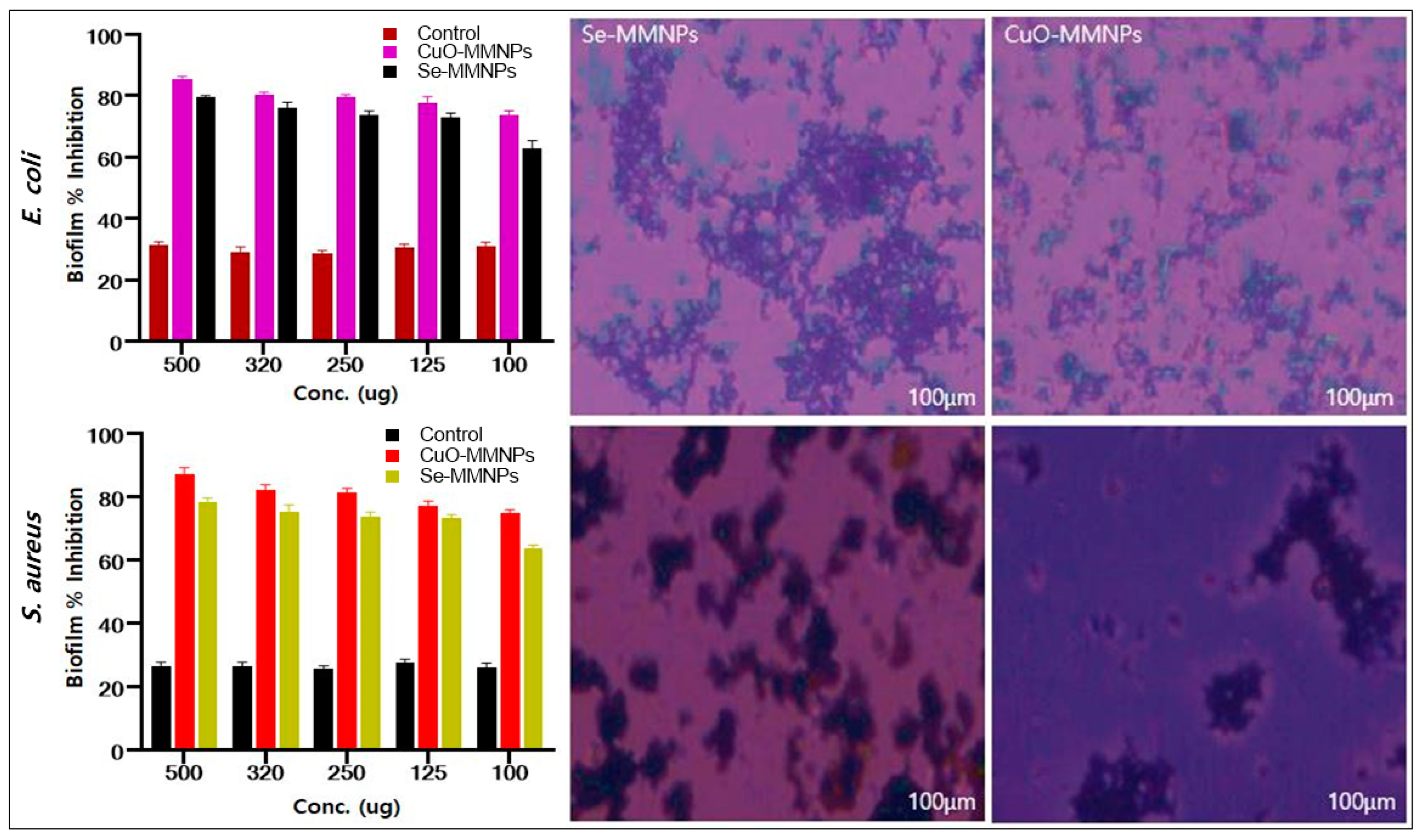 Biomedicines 12 00994 g006