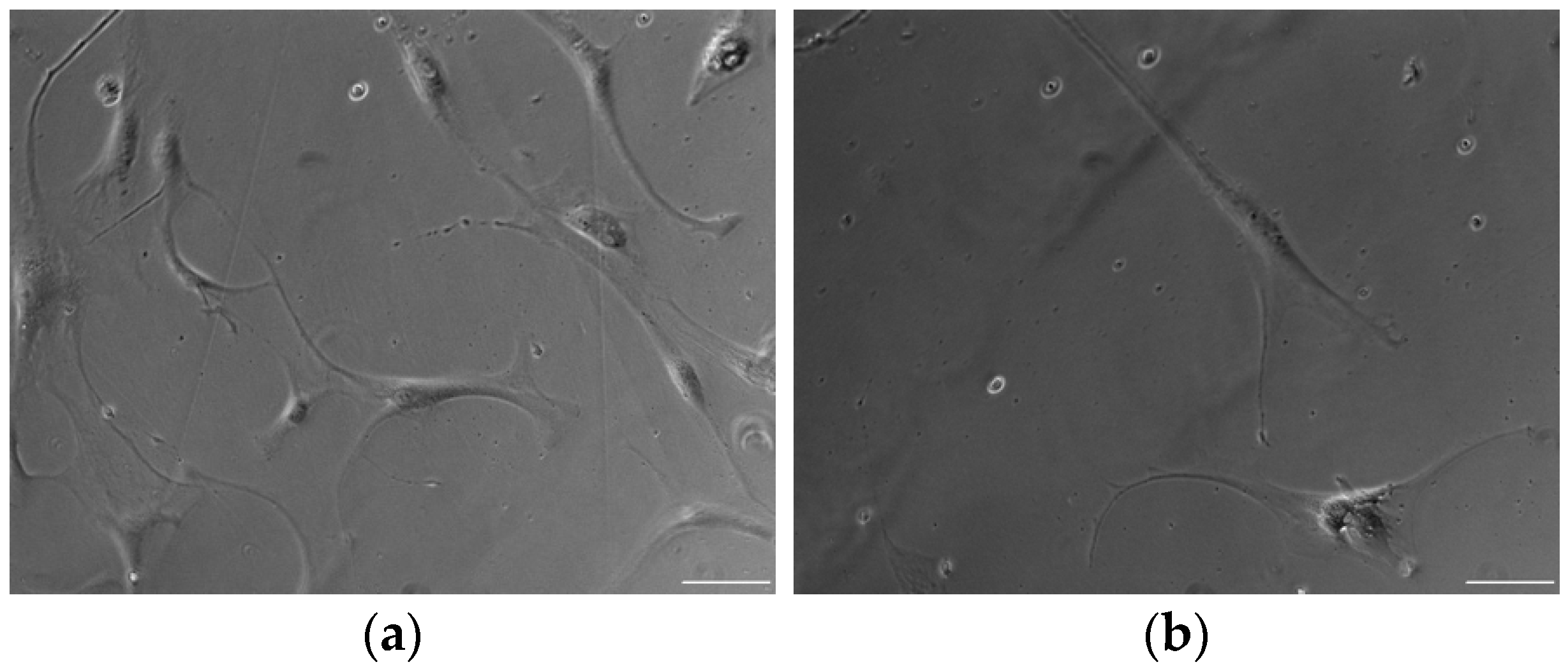 Biomedicines 12 00997 g002