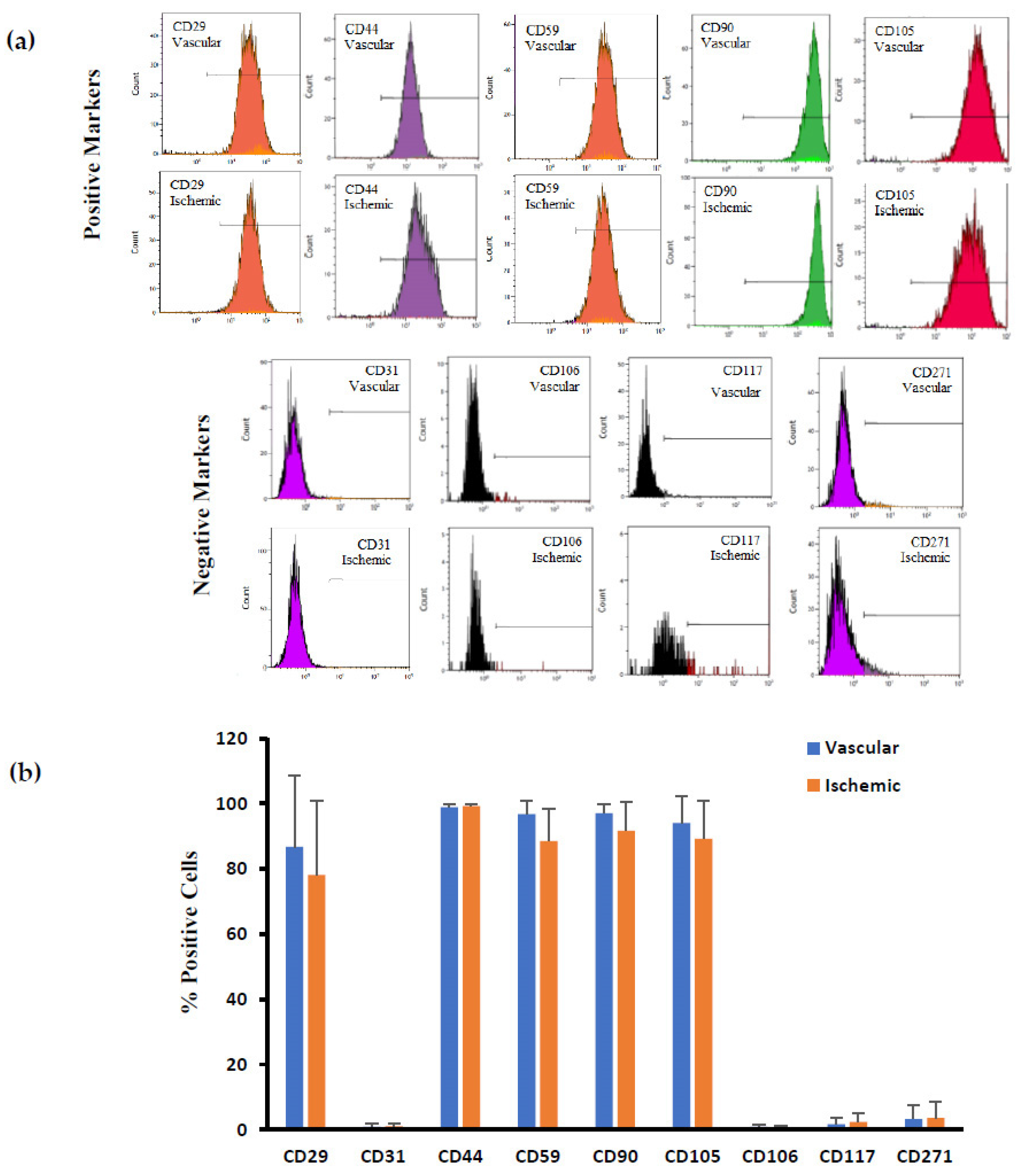 Biomedicines 12 00997 g003