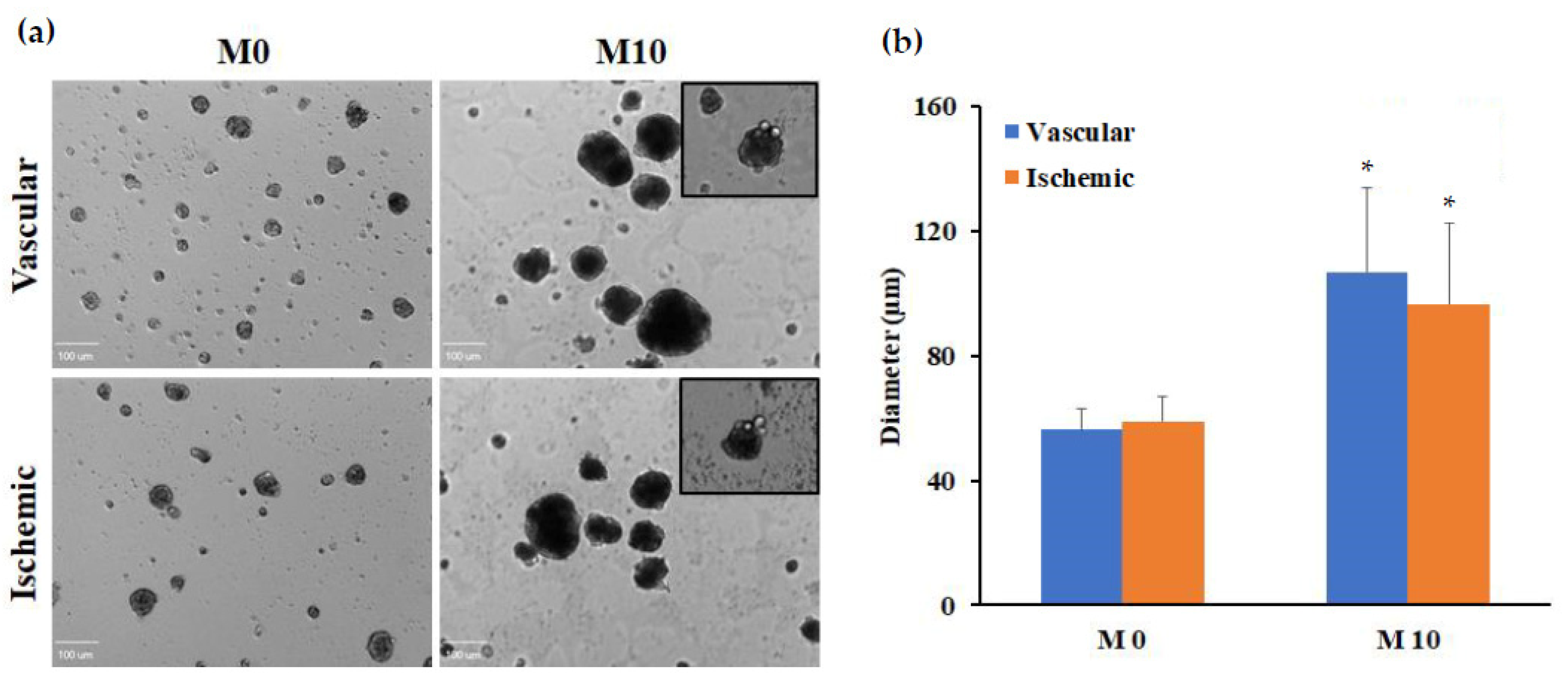 Biomedicines 12 00997 g006
