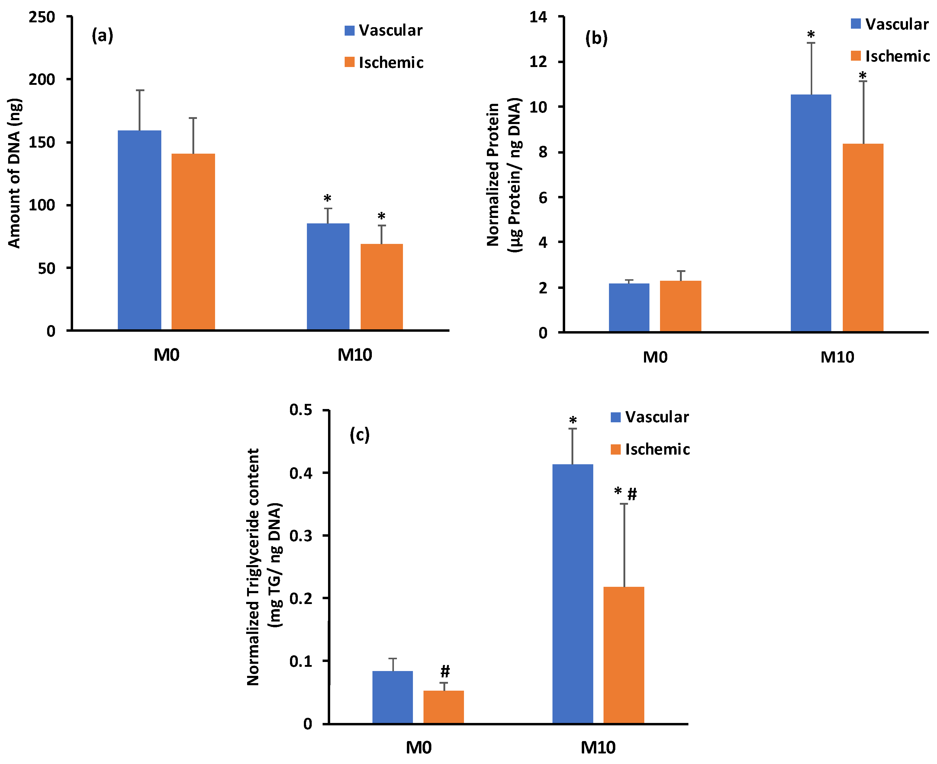 Biomedicines 12 00997 g007