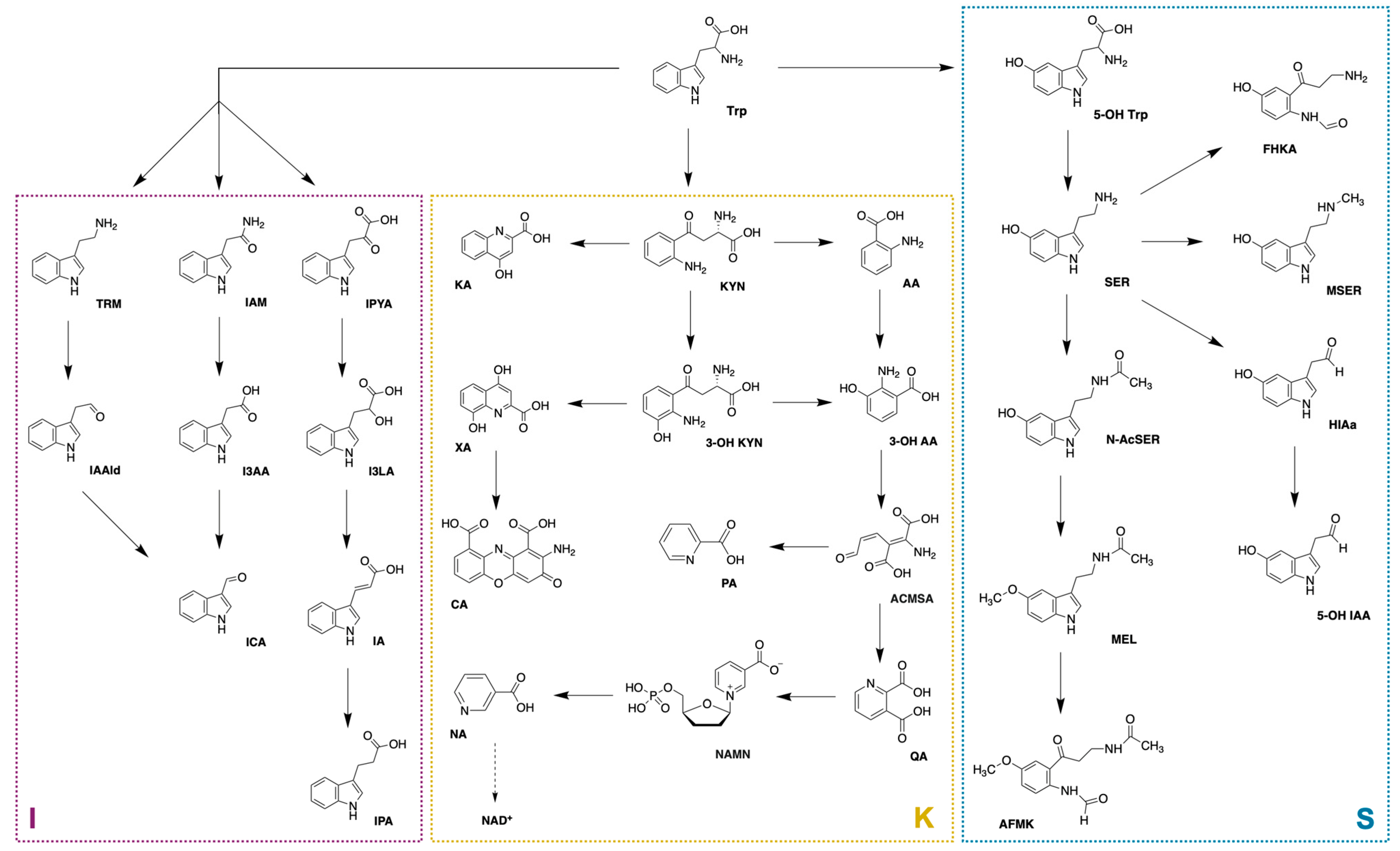 Biomedicines 12 01003 g001