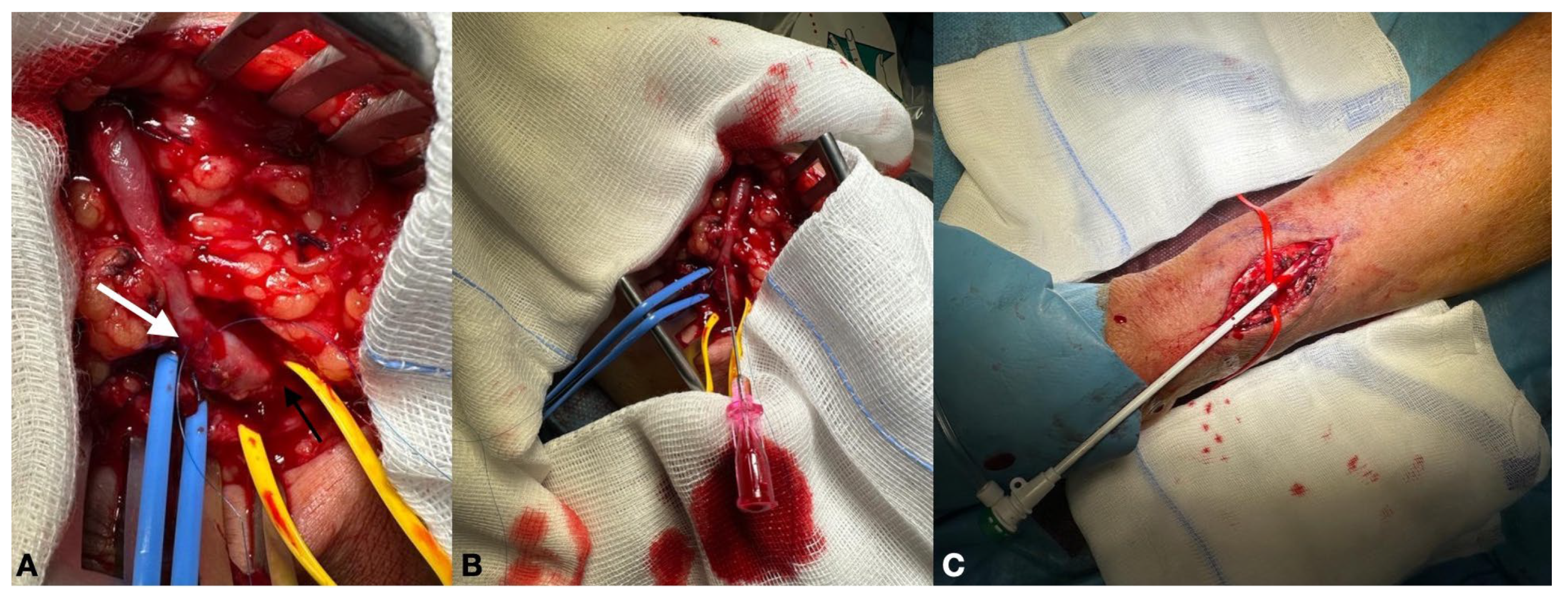 Biomedicines 12 01005 g003
