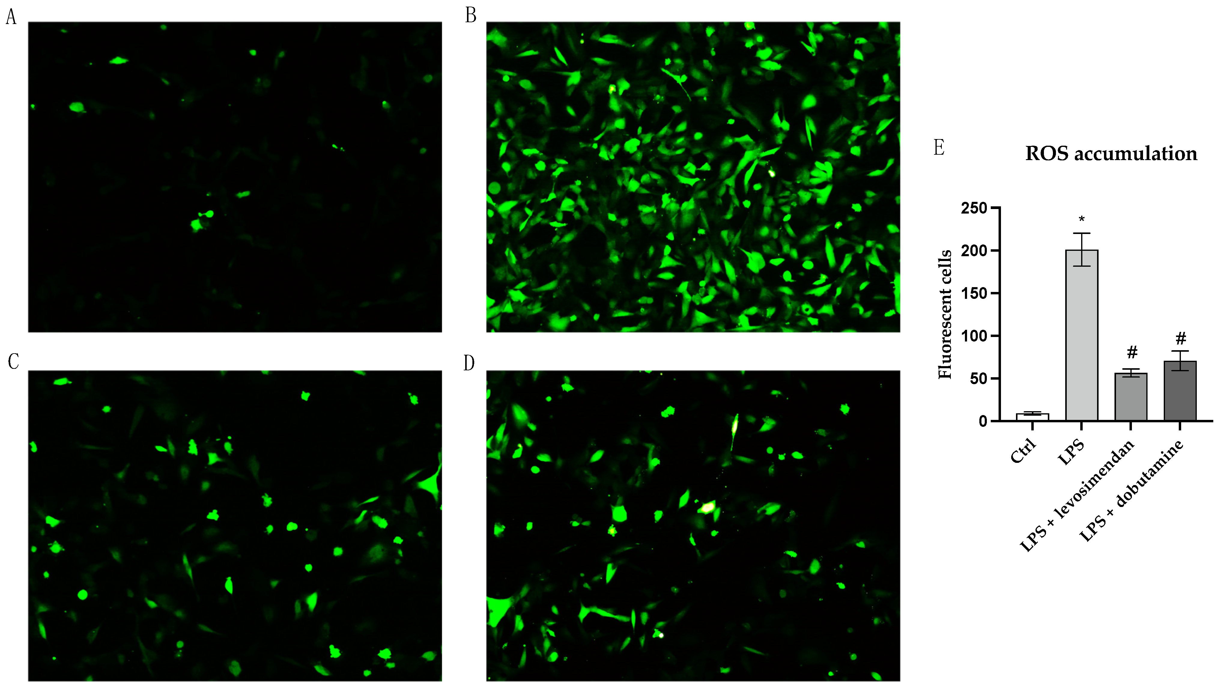 Biomedicines 12 01009 g002
