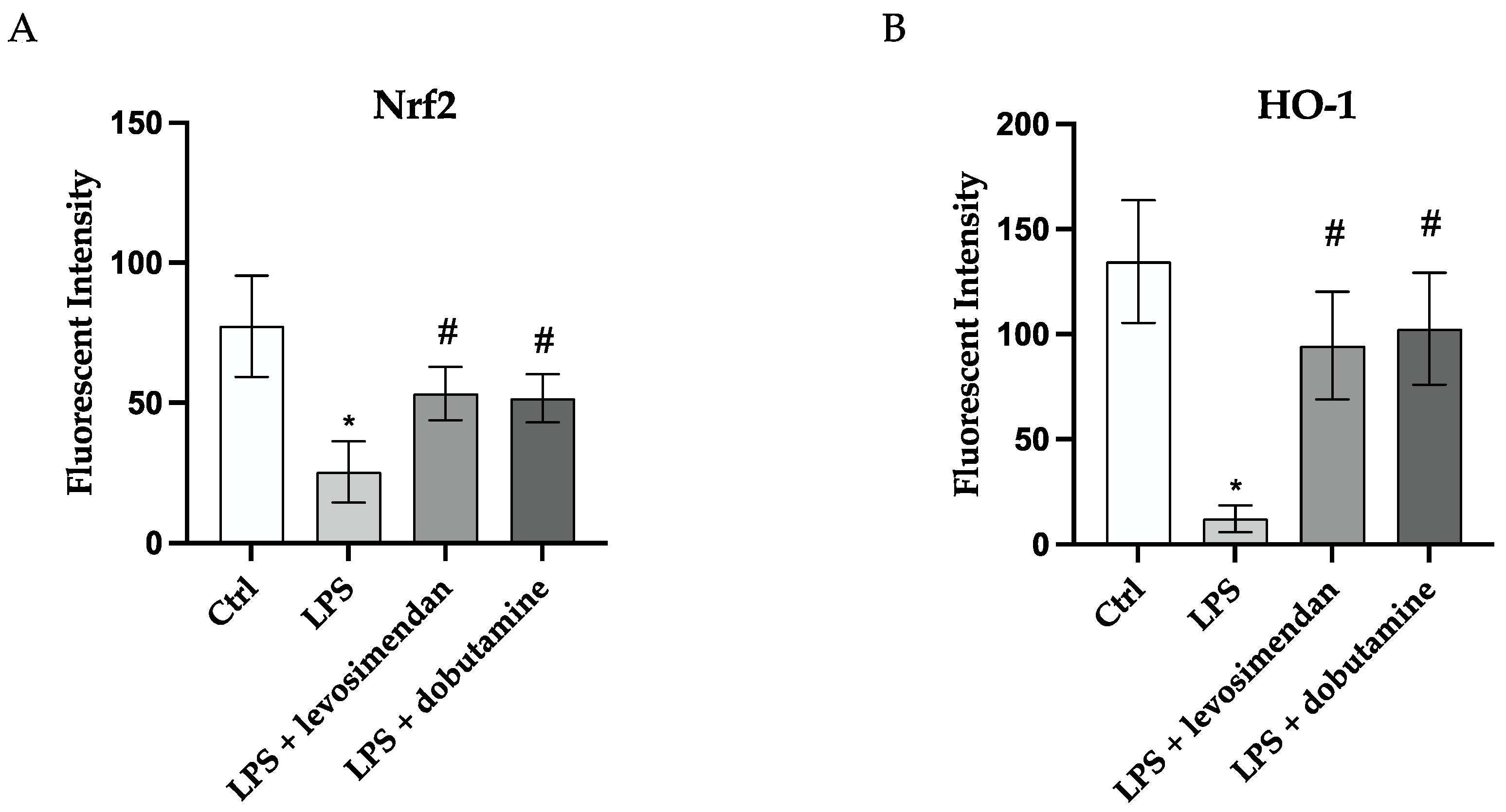 Biomedicines 12 01009 g005