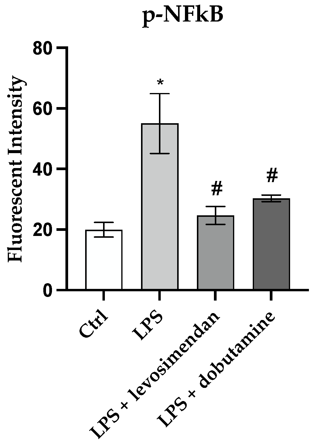 Biomedicines 12 01009 g007