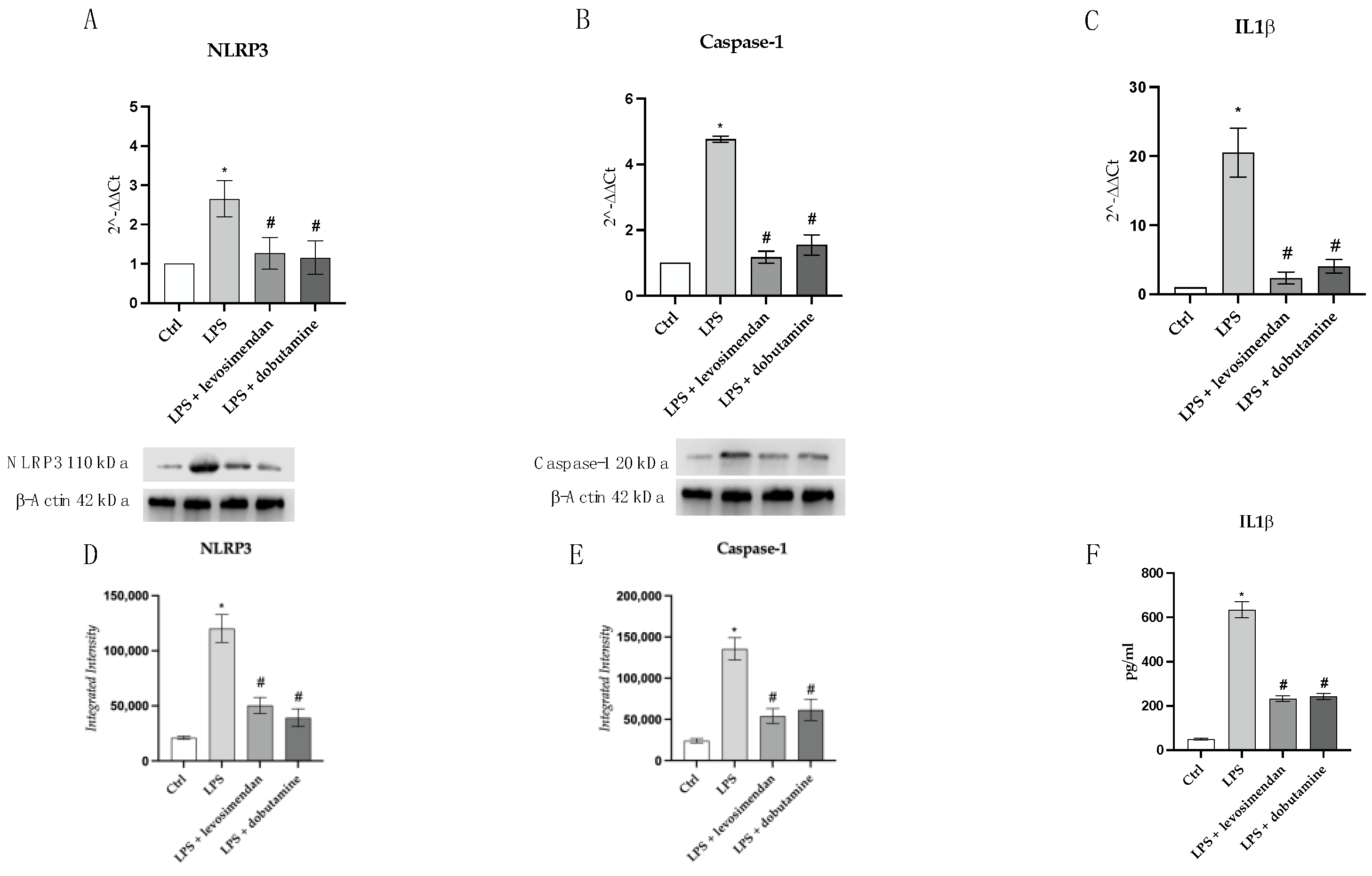 Biomedicines 12 01009 g009