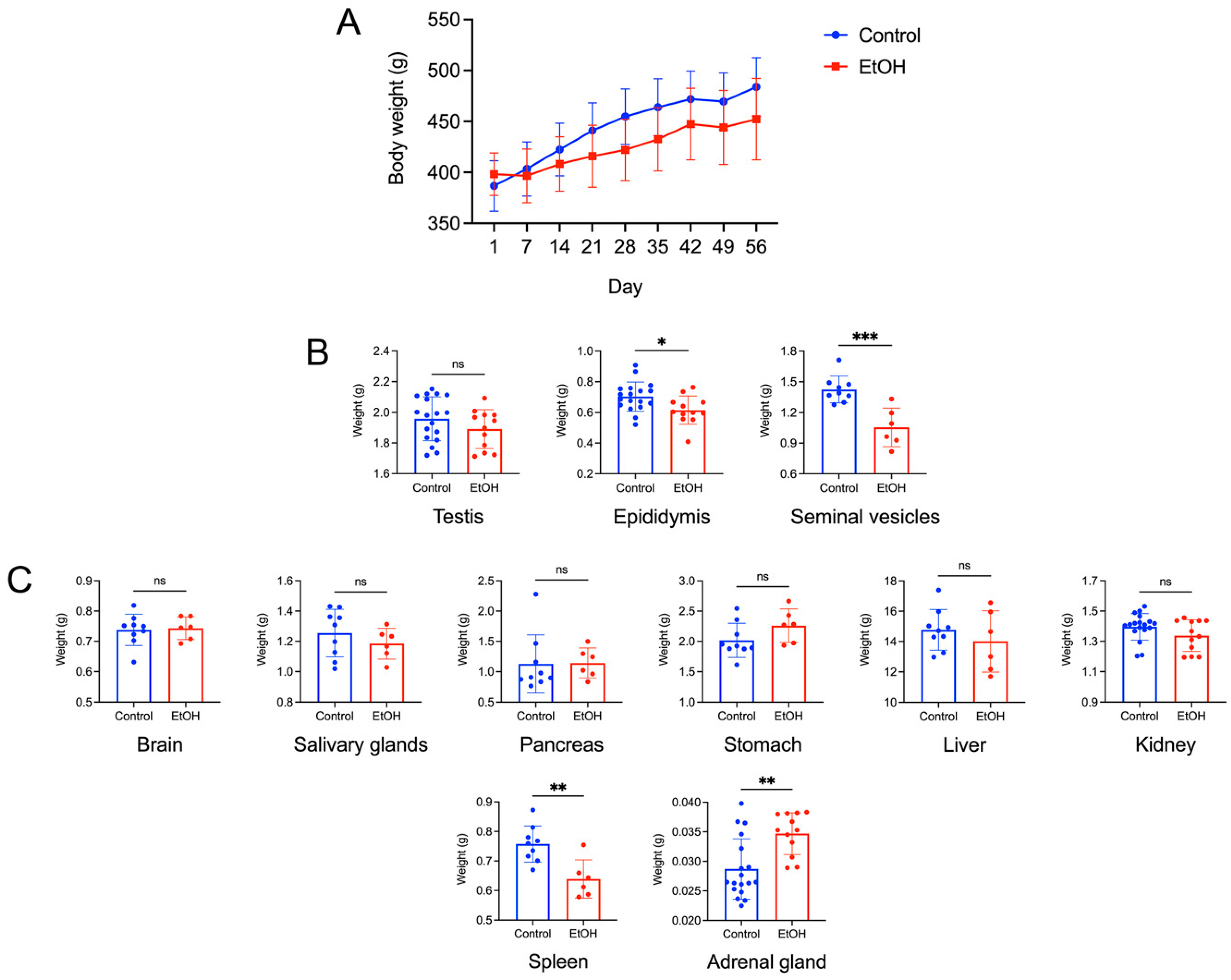 Biomedicines 12 01010 g001