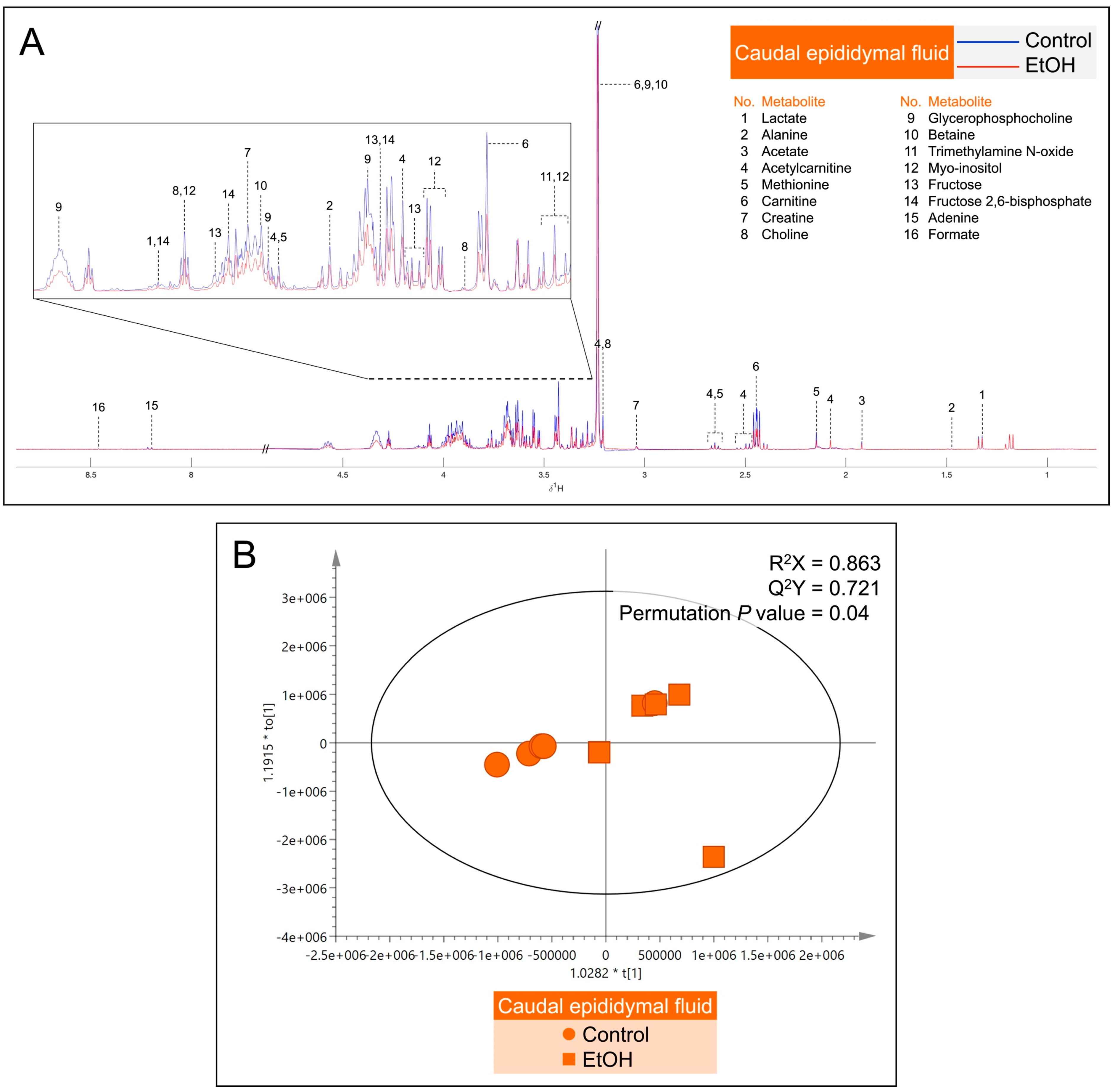 Biomedicines 12 01010 g007