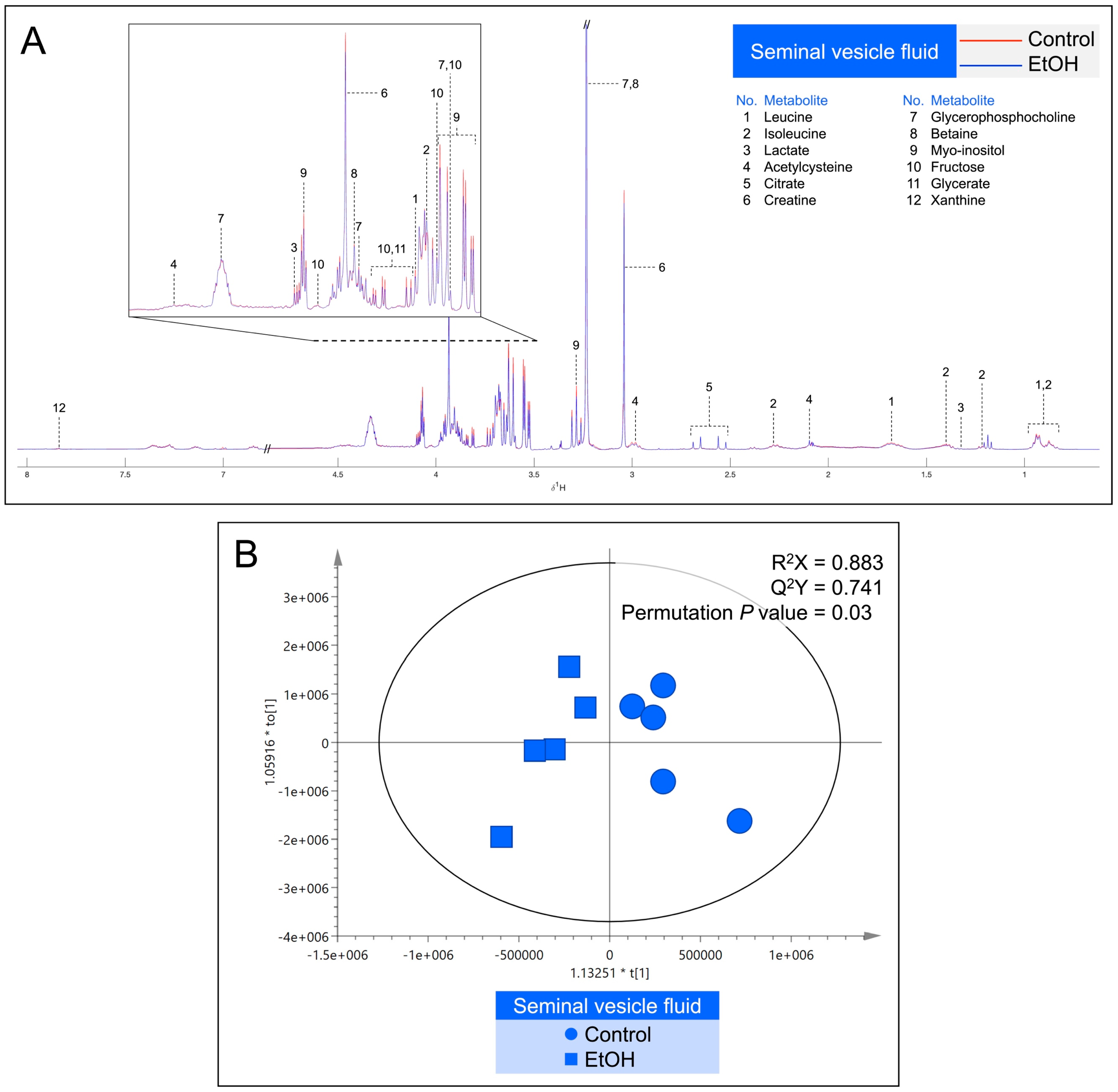 Biomedicines 12 01010 g008