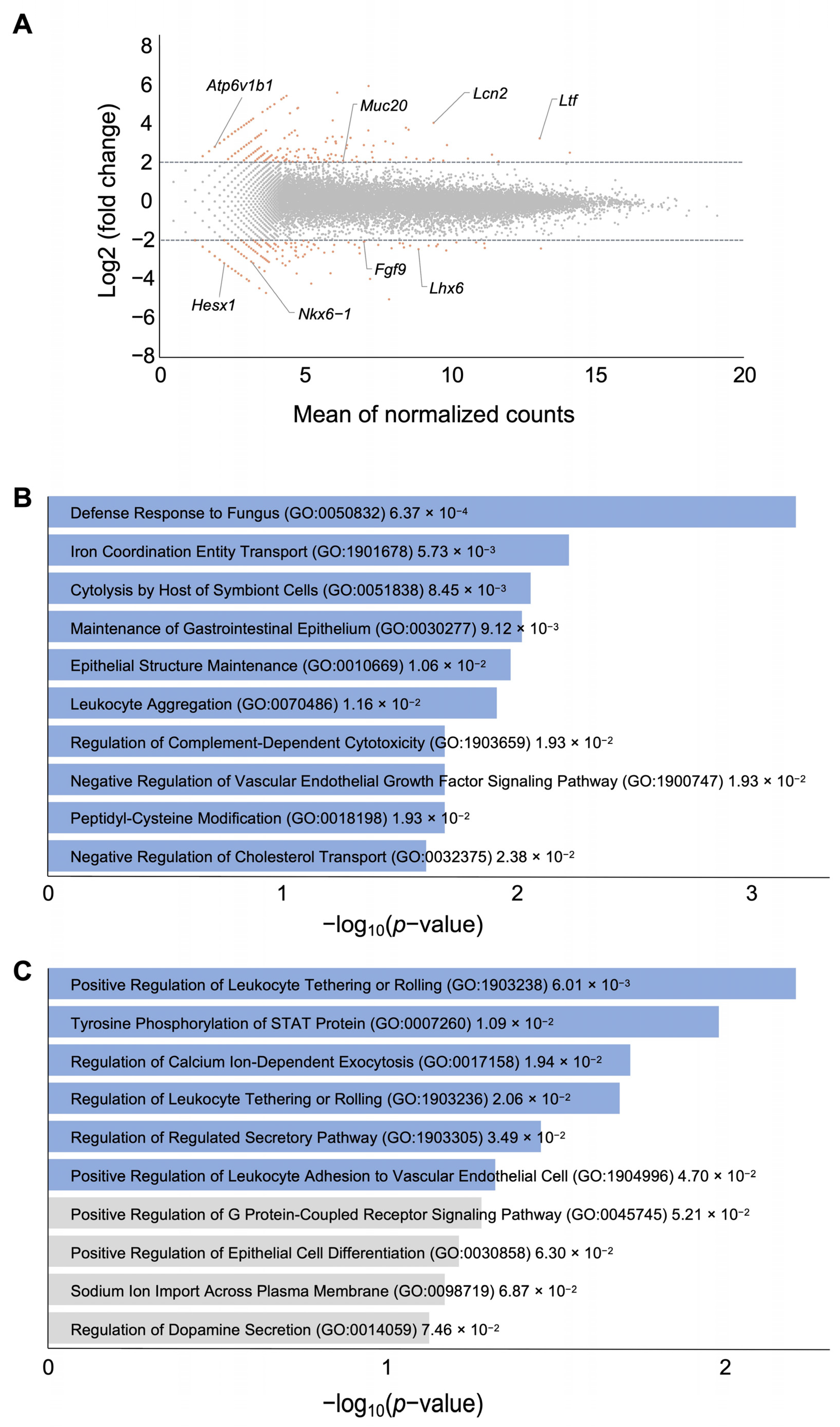 Biomedicines 12 01016 g002 Biomedicines 12 01016 g002