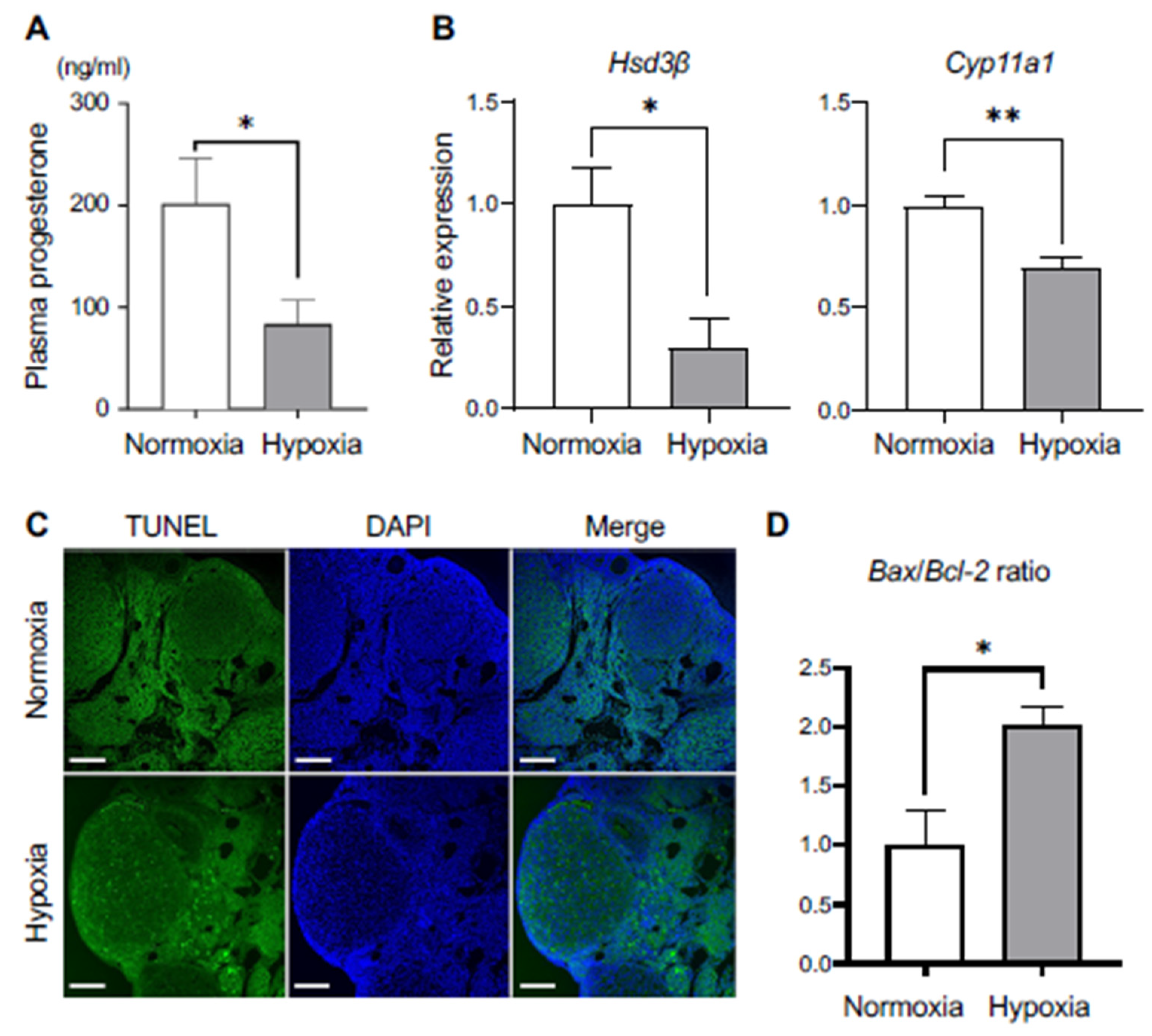 Biomedicines 12 01016 g003 Biomedicines 12 01016 g003