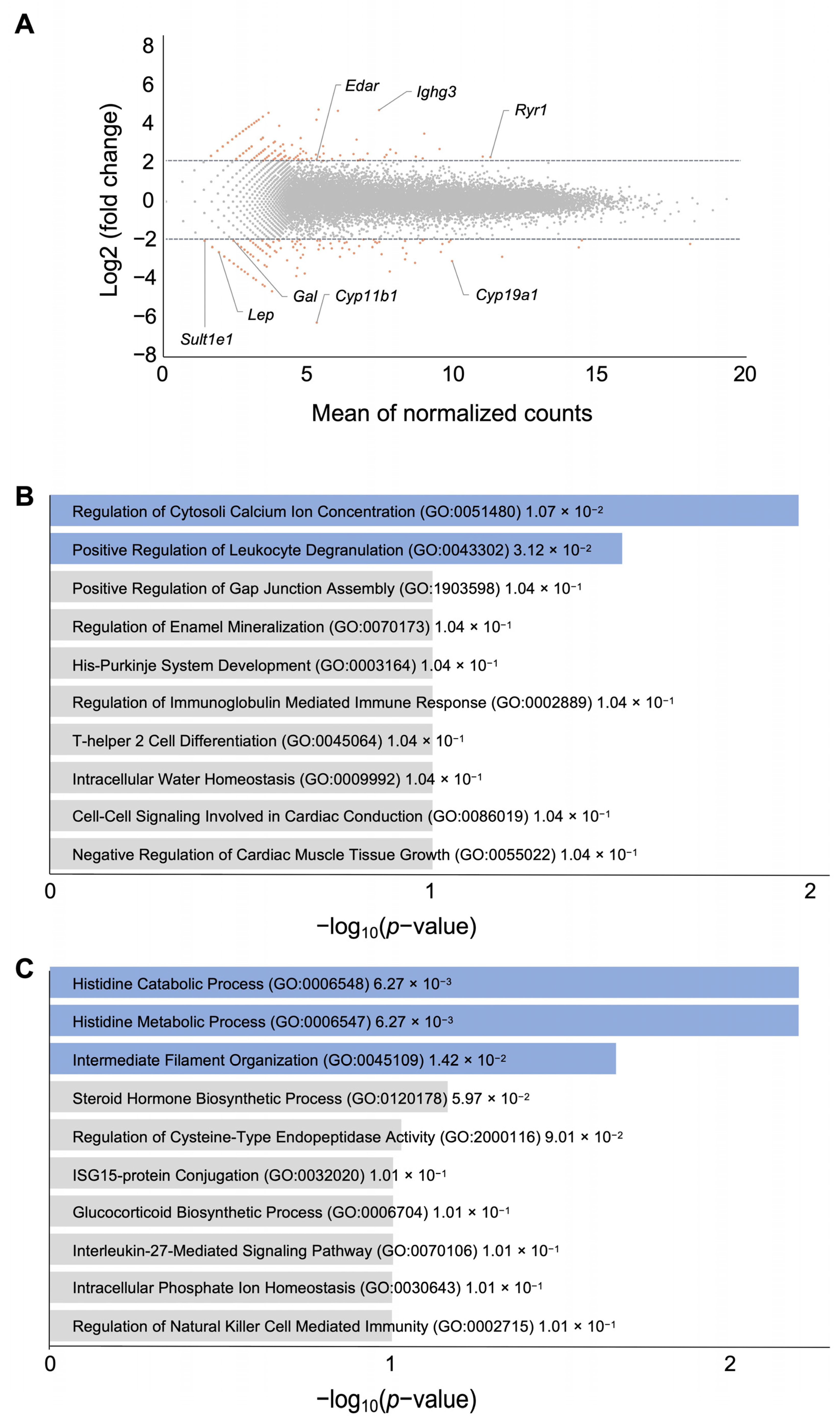 Biomedicines 12 01016 g004 Biomedicines 12 01016 g004