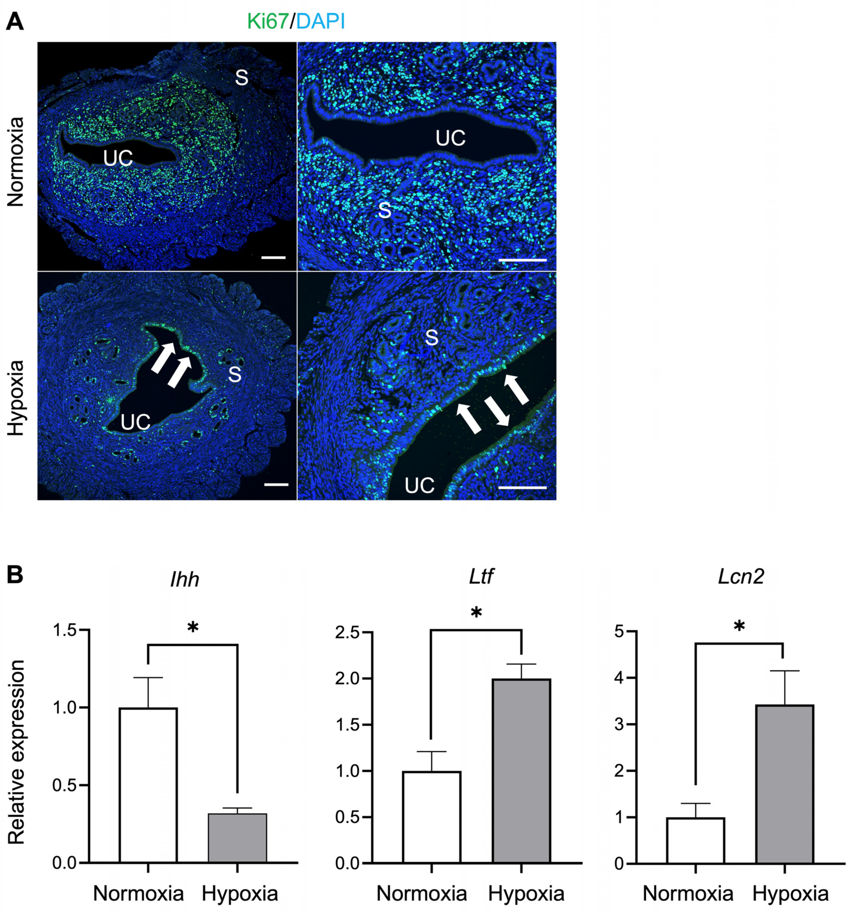 Biomedicines 12 01016 g005 Biomedicines 12 01016 g005