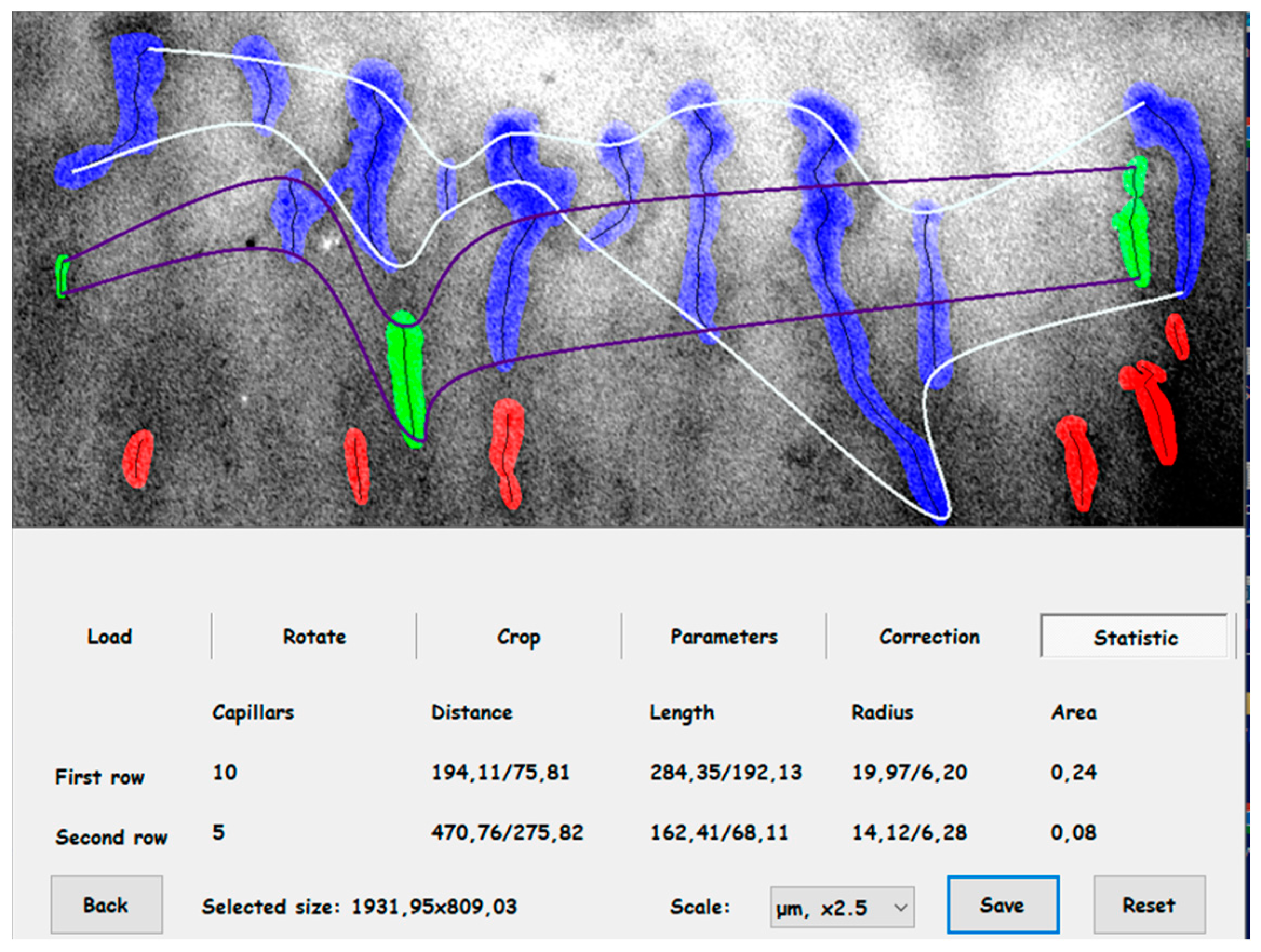 Biomedicines 12 01020 g001 Biomedicines 12 01020 g001