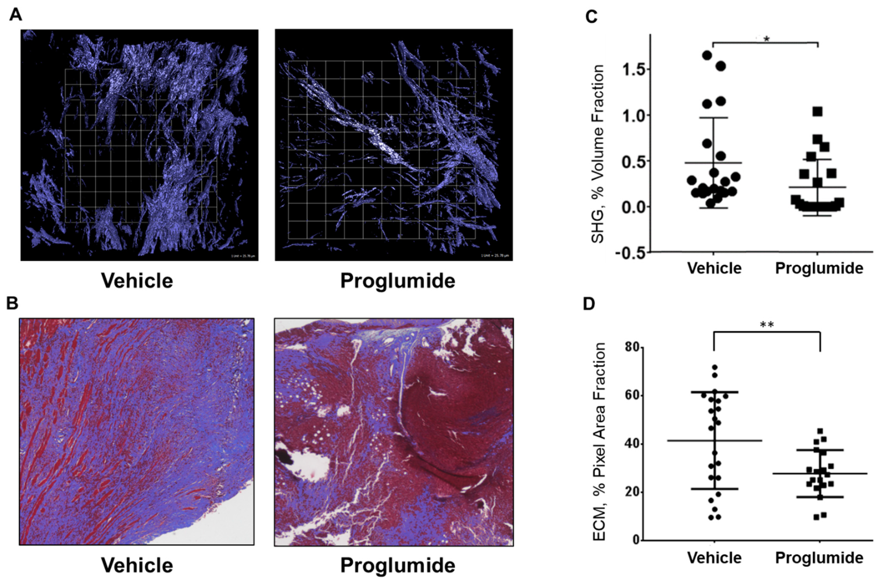Biomedicines 12 01024 g003