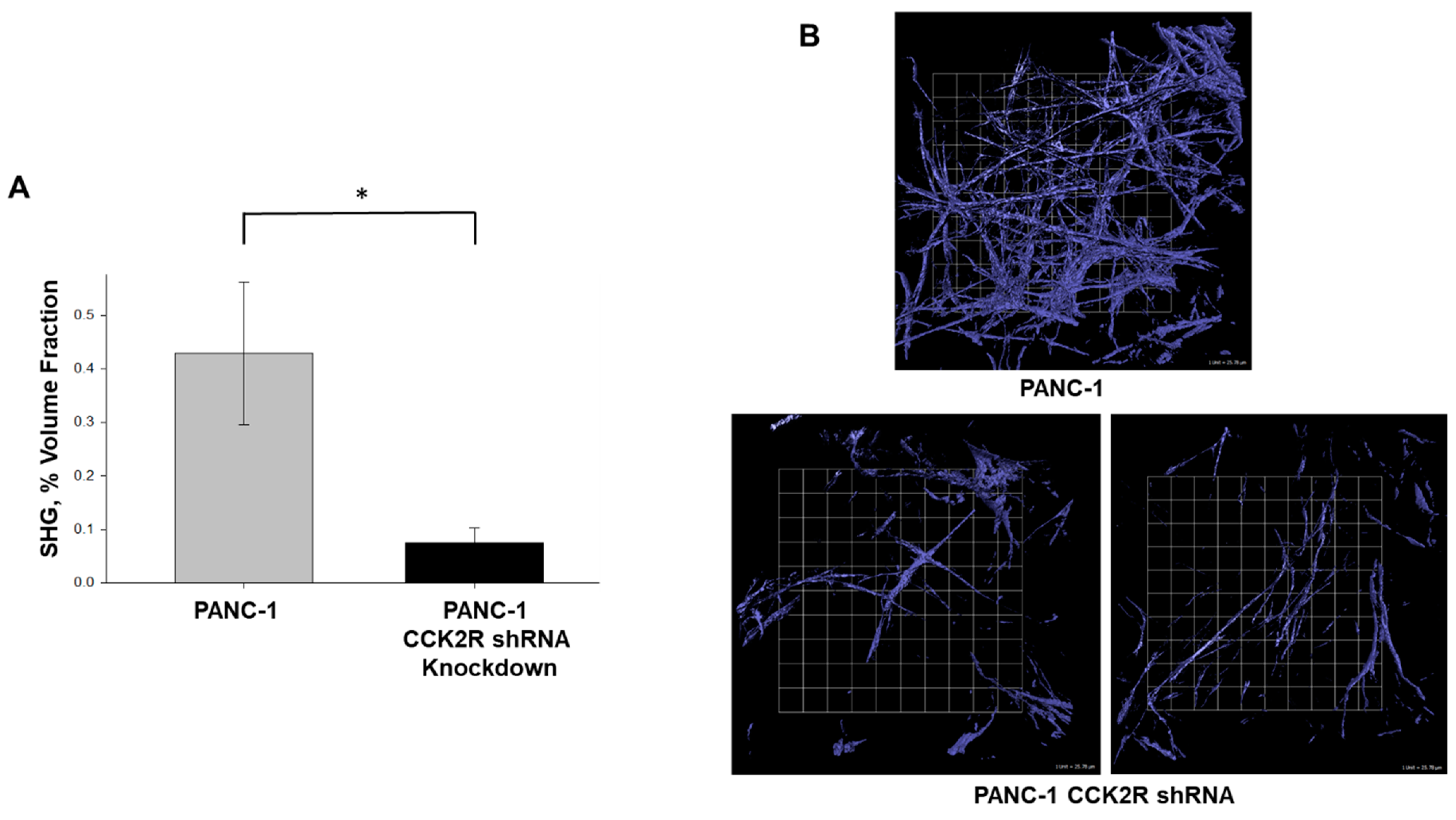 Biomedicines 12 01024 g004