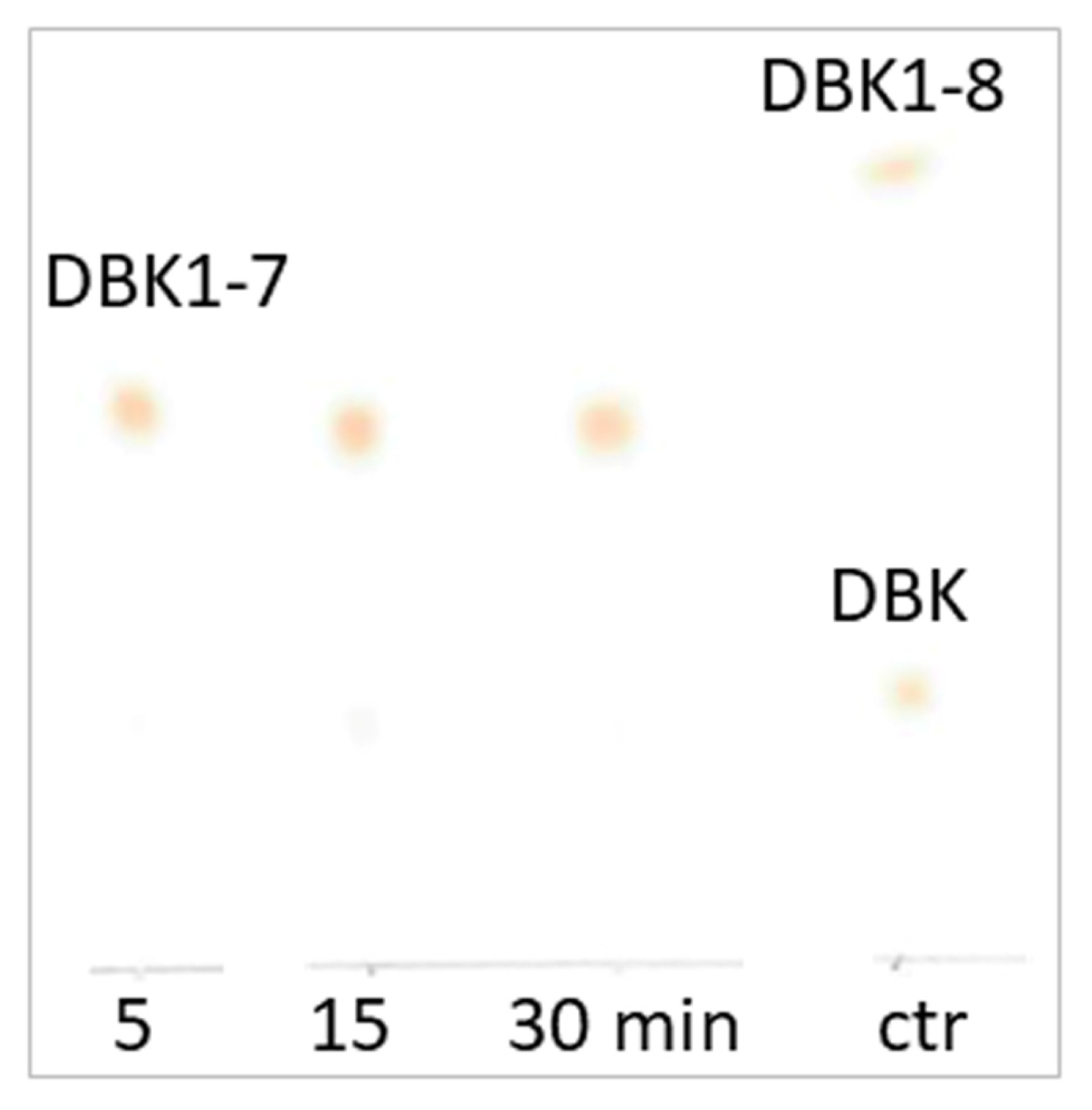 Biomedicines 12 01027 g001