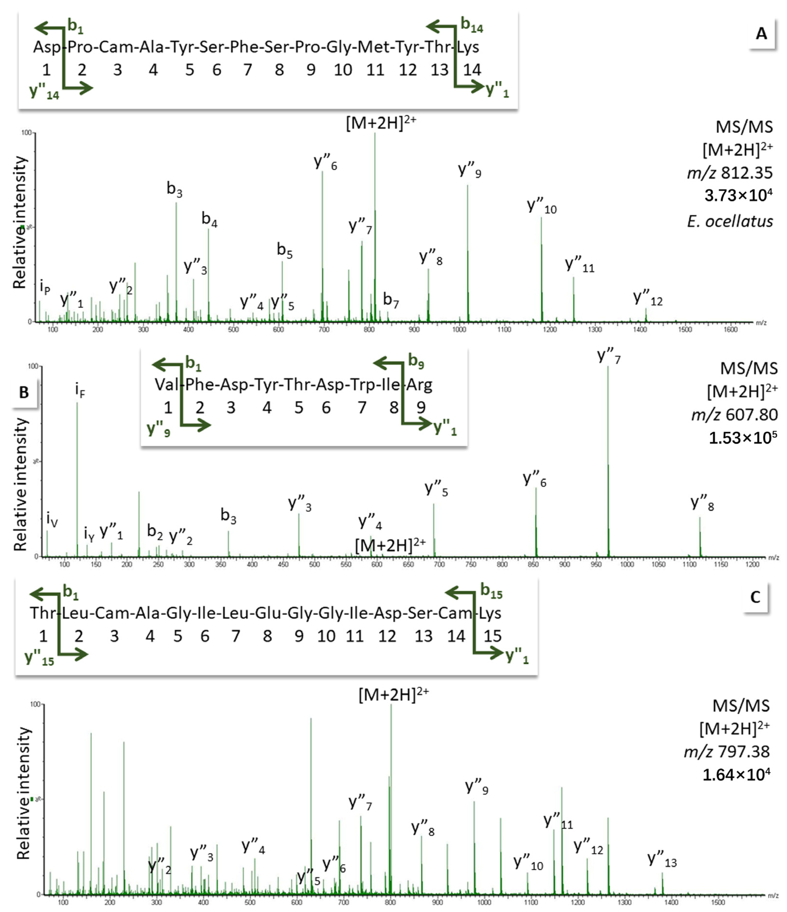 Biomedicines 12 01027 g004