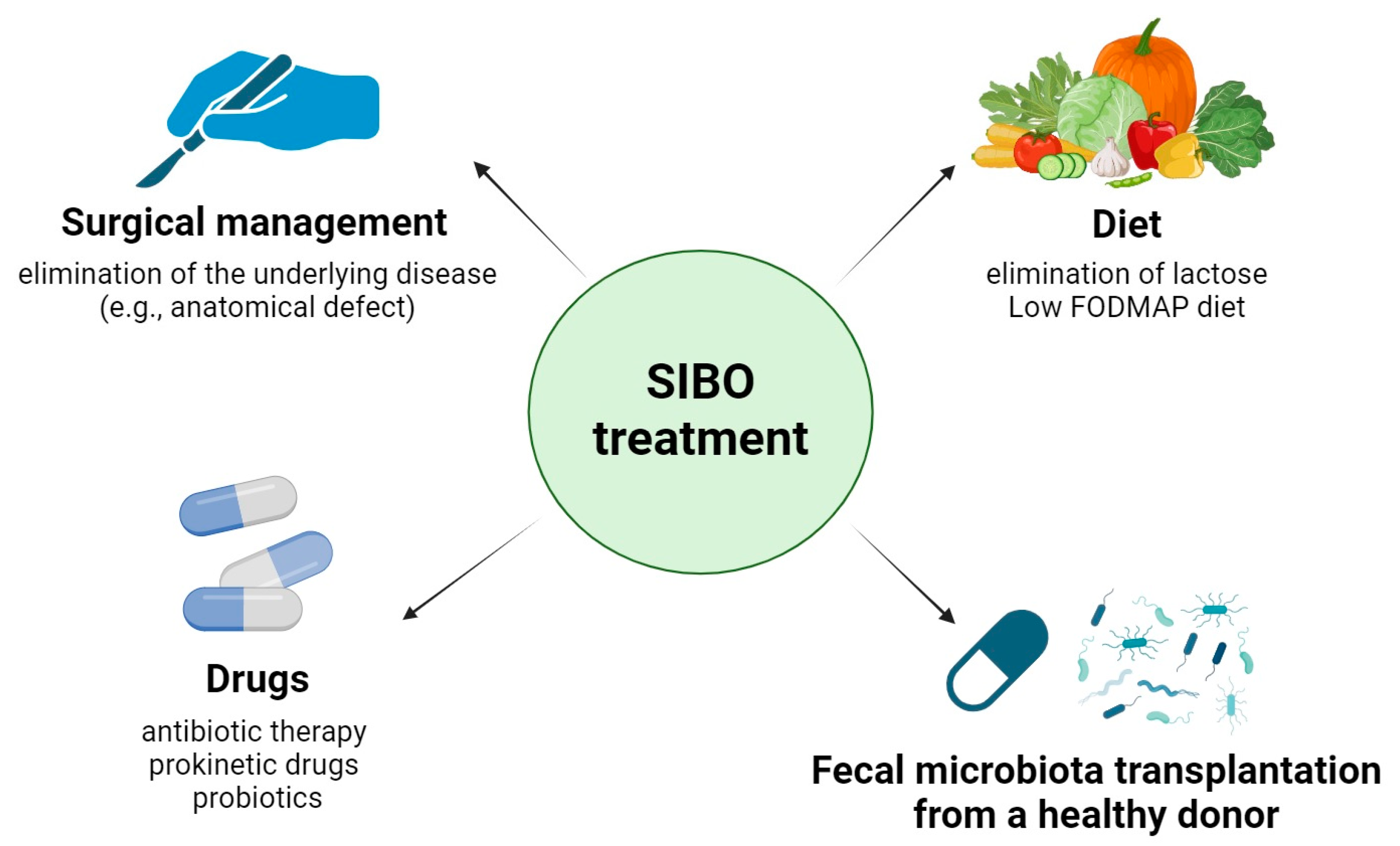 Small Intestinal Bacterial Overgrowth (SIBO) and Twelve