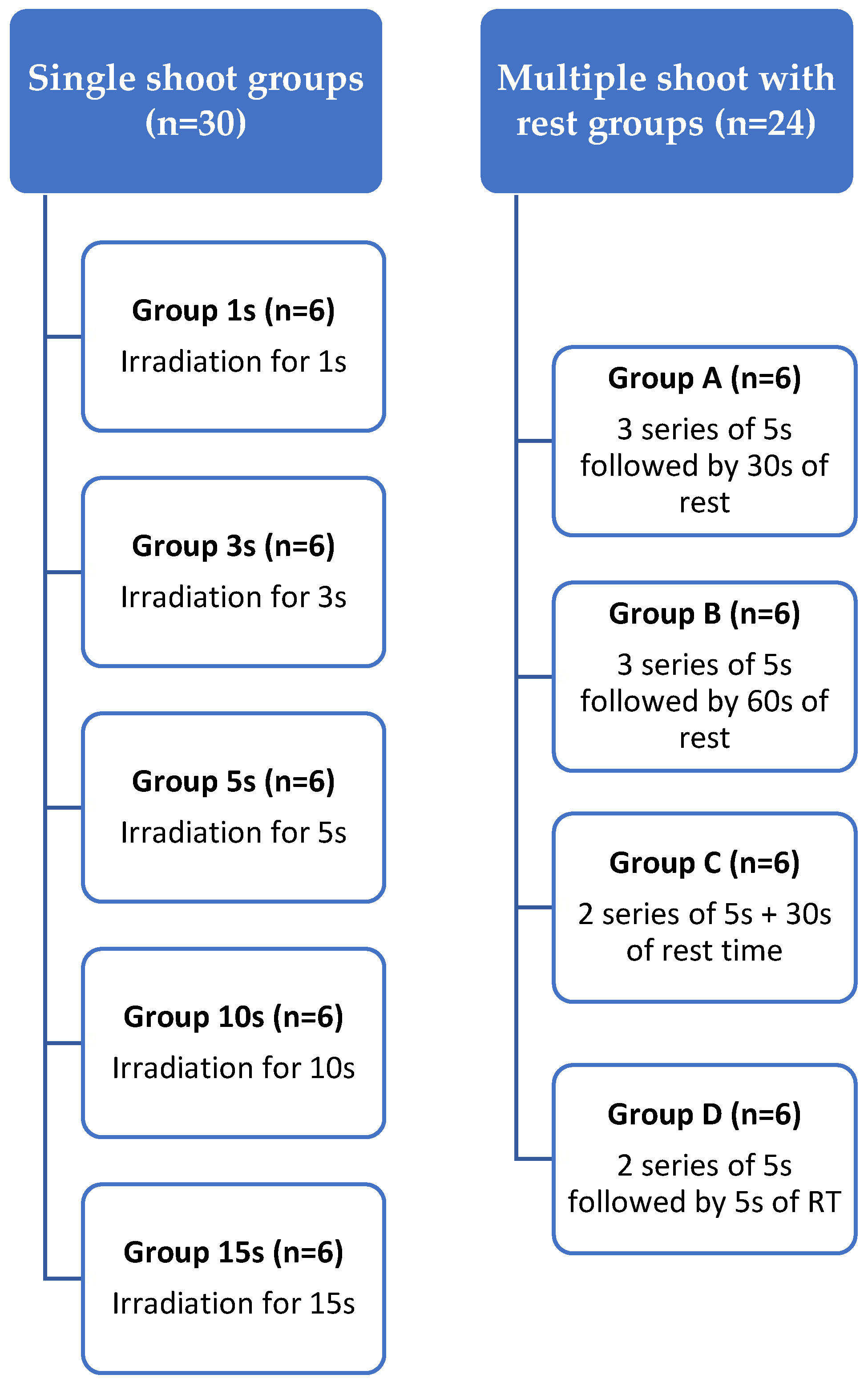 Biomedicines 12 01031 g001