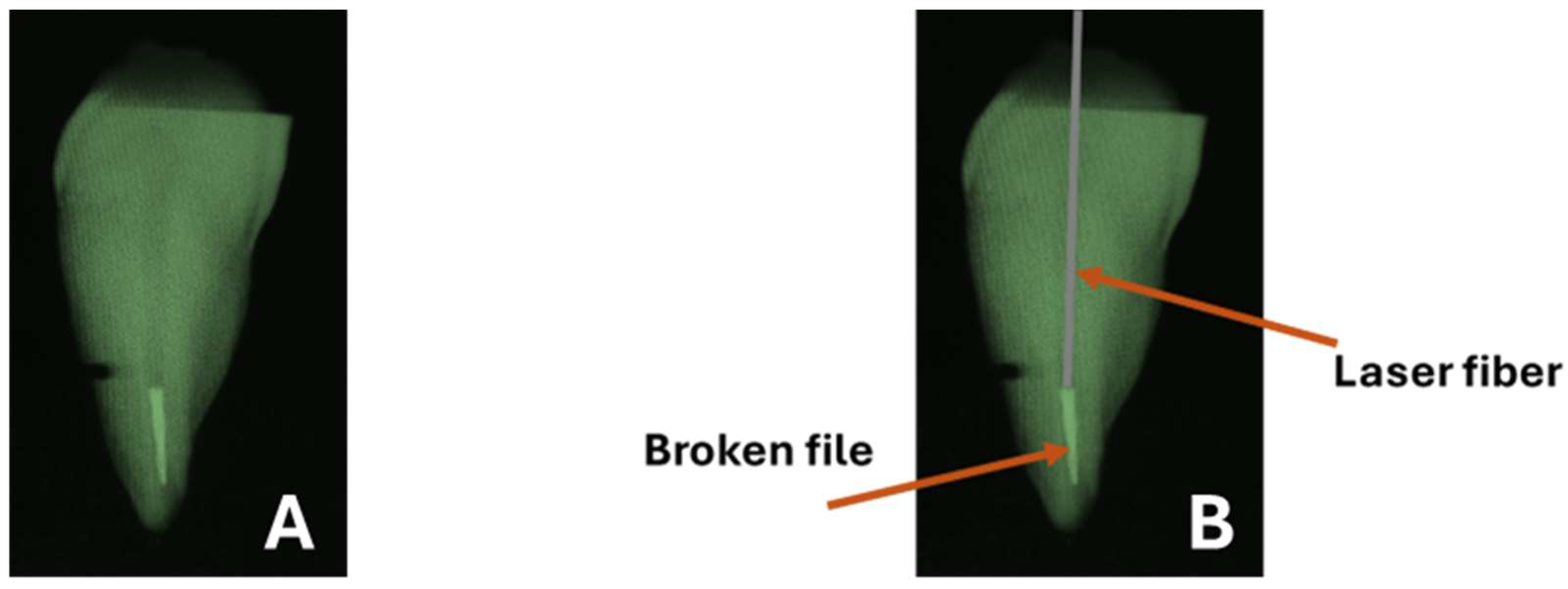 Biomedicines 12 01031 g002