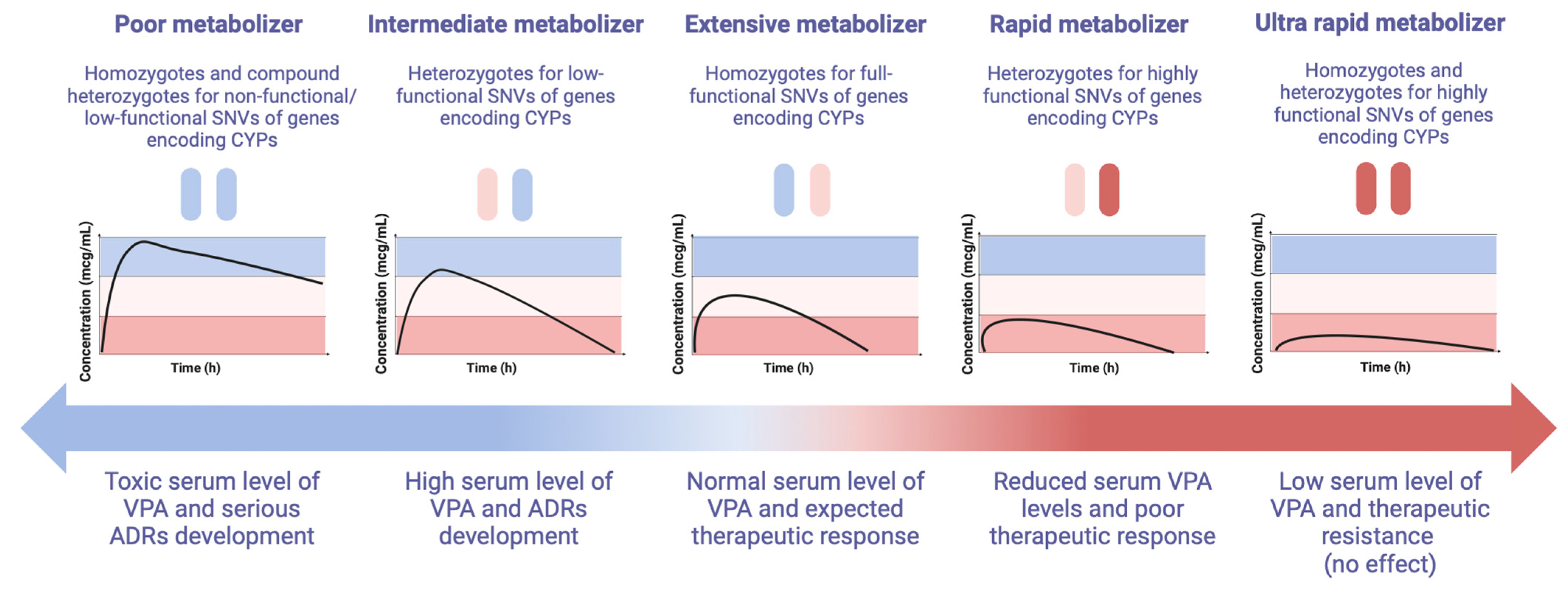 Biomedicines 12 01036 g002
