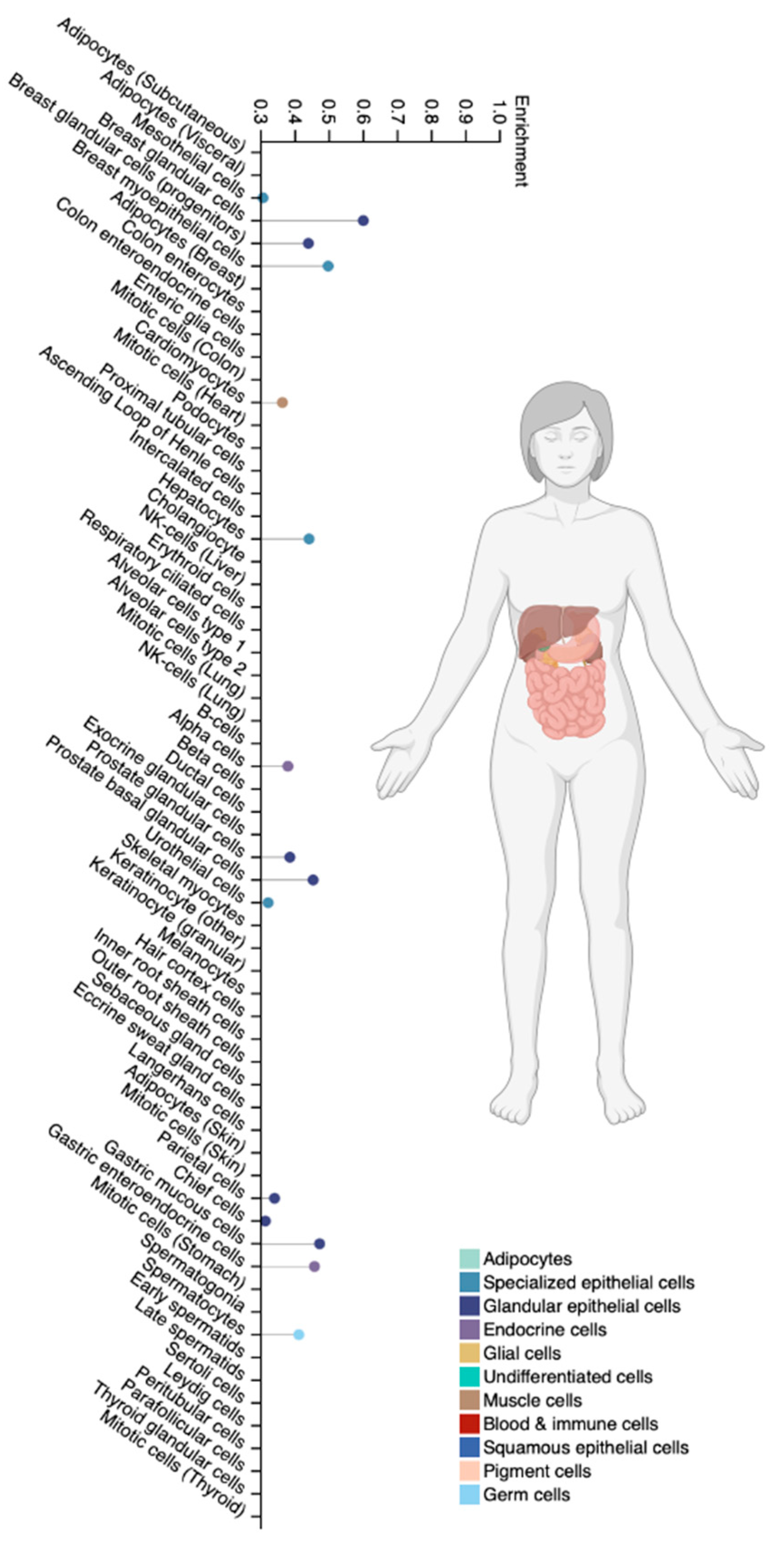 Biomedicines 12 01036 g008