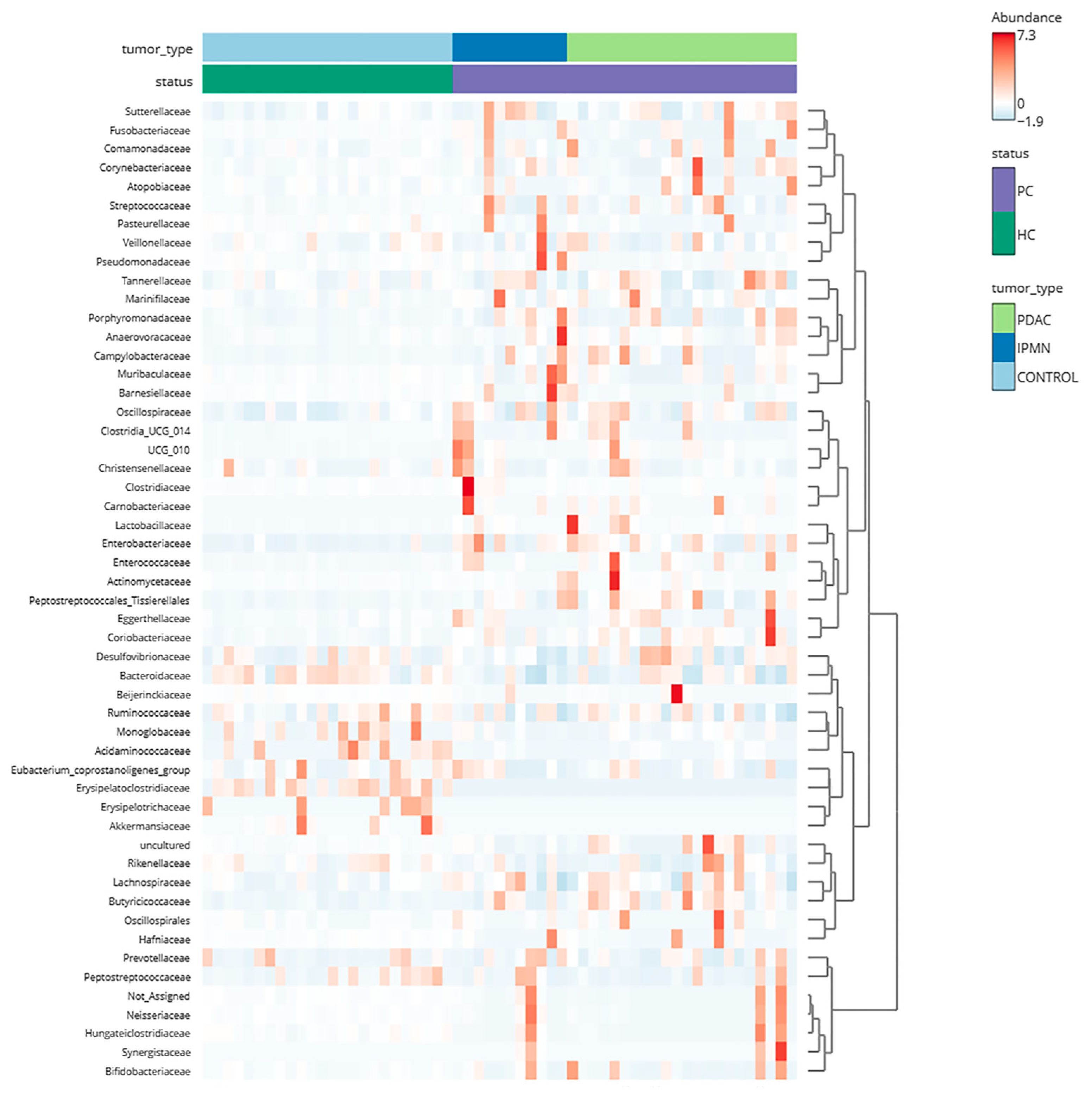 Biomedicines 12 01040 g002