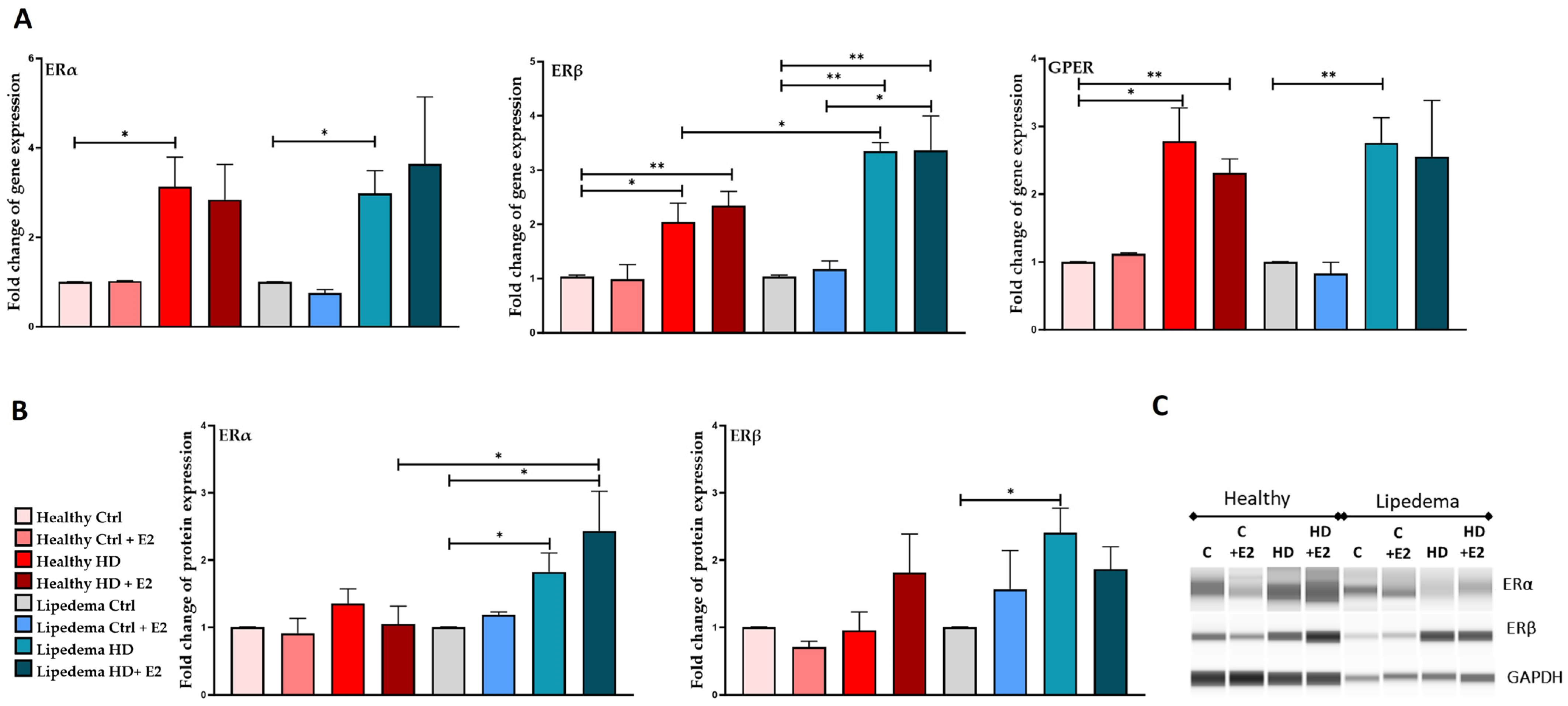 Biomedicines 12 01042 g002