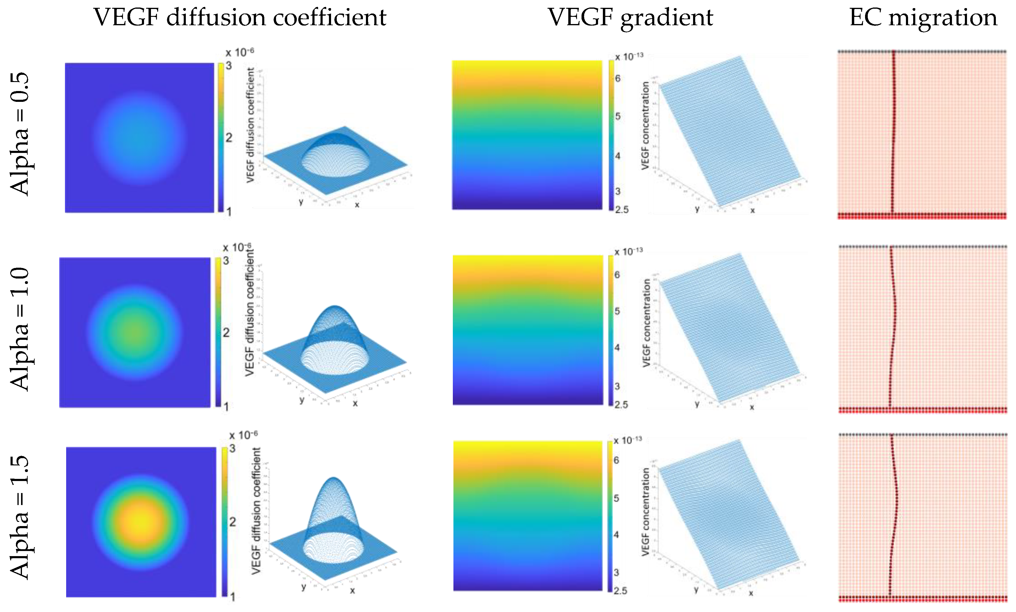 Biomedicines 12 01045 g005