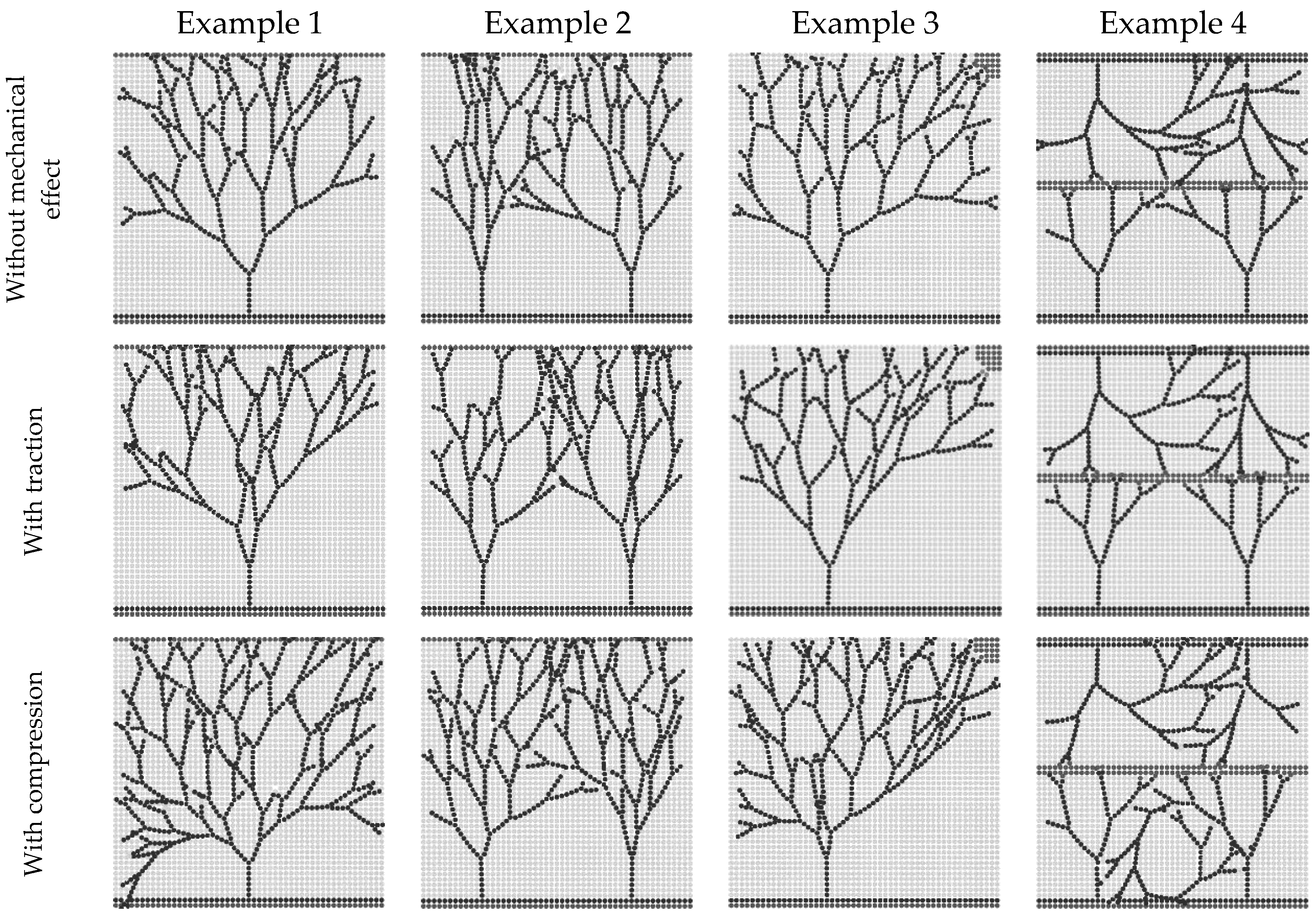 Biomedicines 12 01045 g006