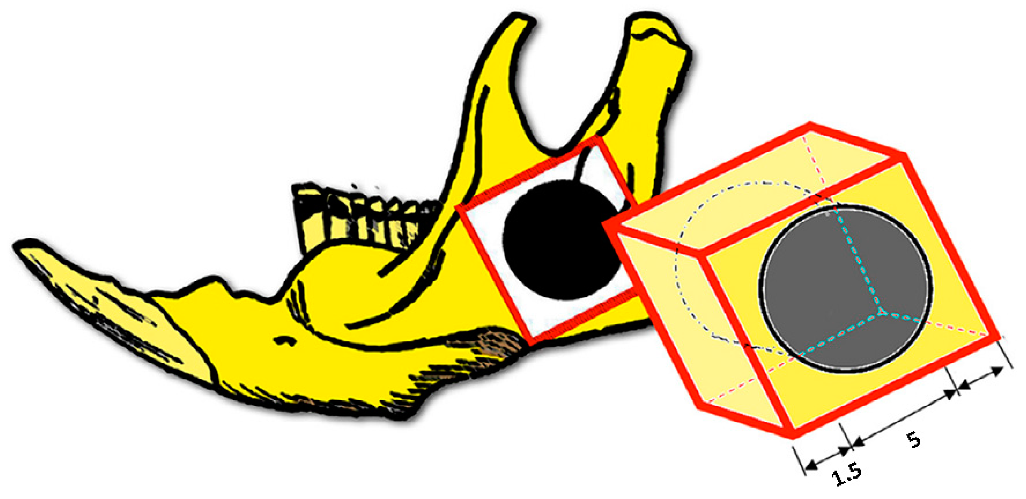 Biomedicines 12 01049 g003