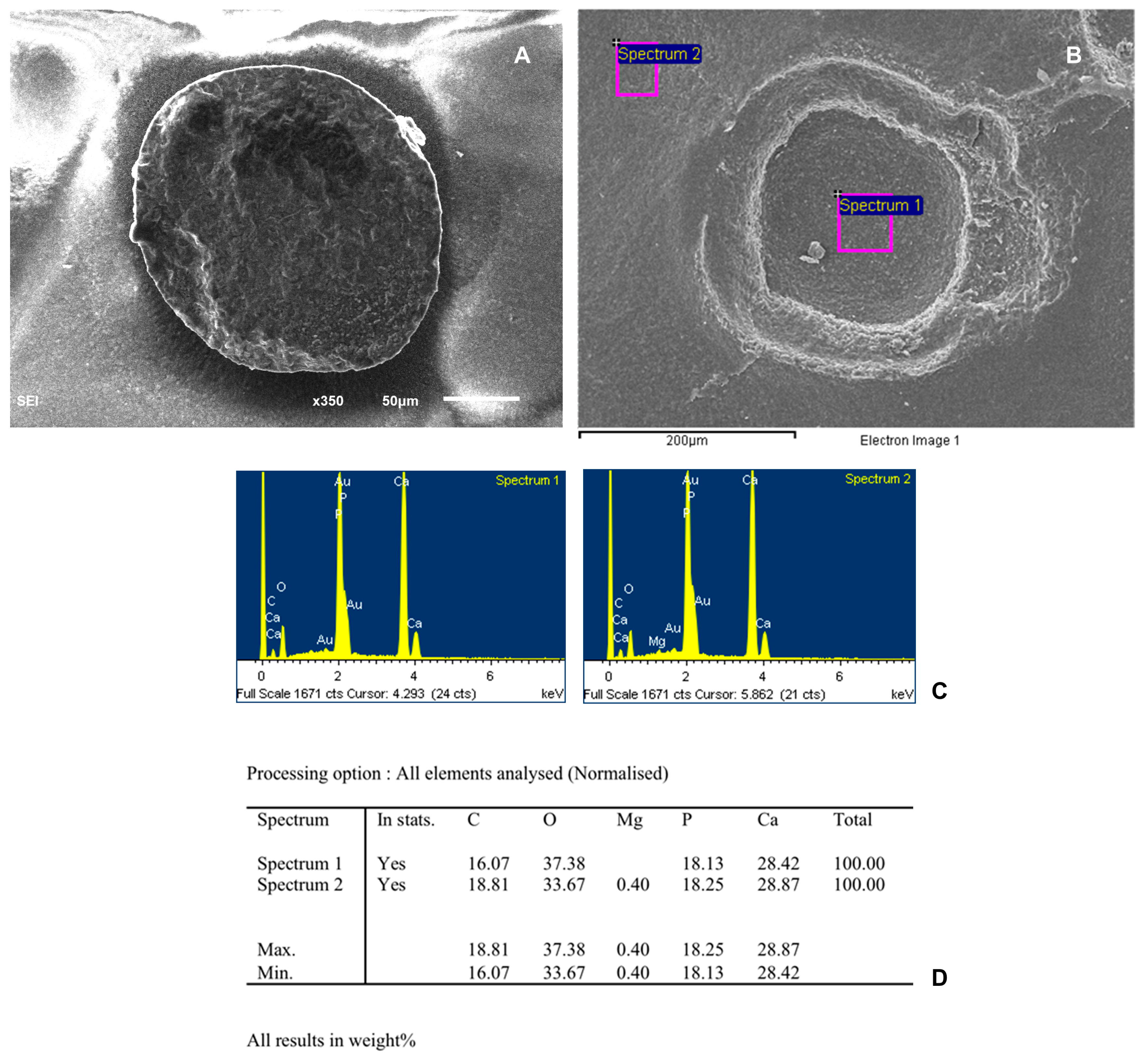 Biomedicines 12 01049 g006