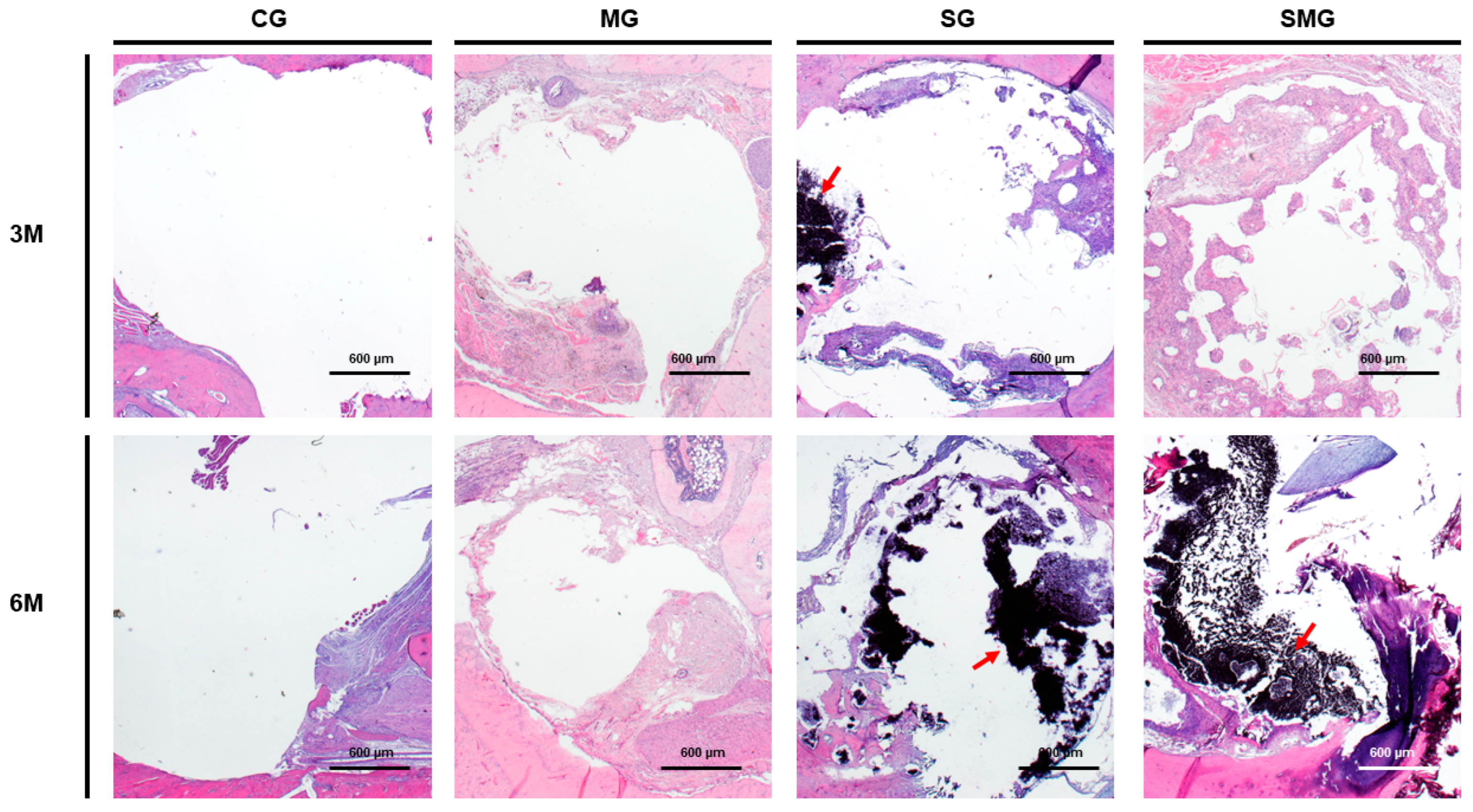 Biomedicines 12 01049 g010